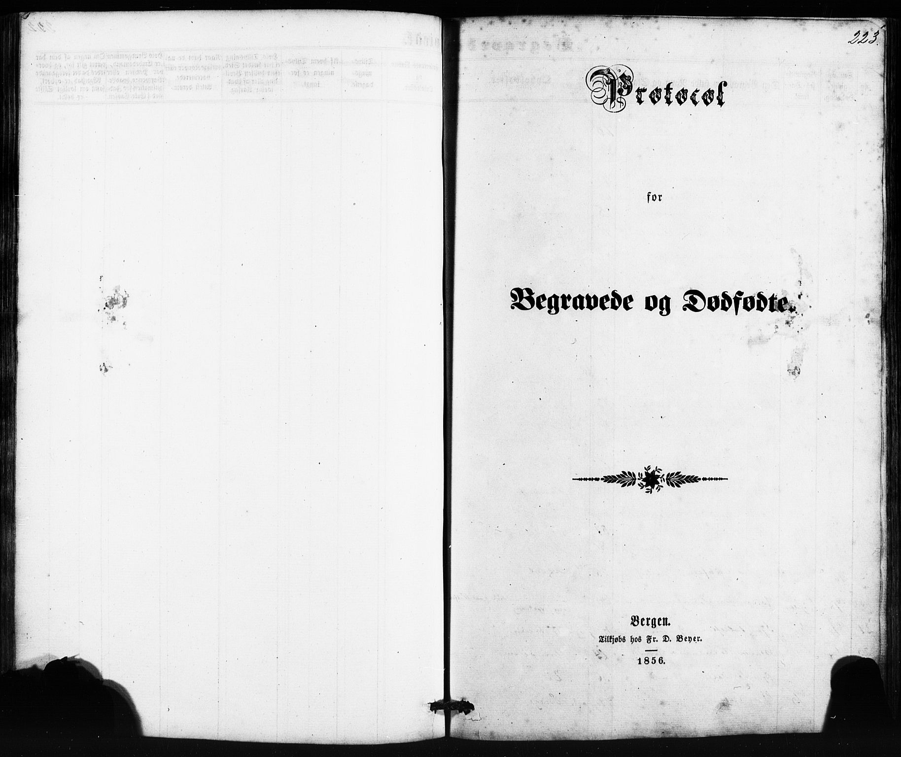 Etne sokneprestembete, SAB/A-75001/H/Haa: Parish register (official) no. A 9, 1862-1878, p. 223