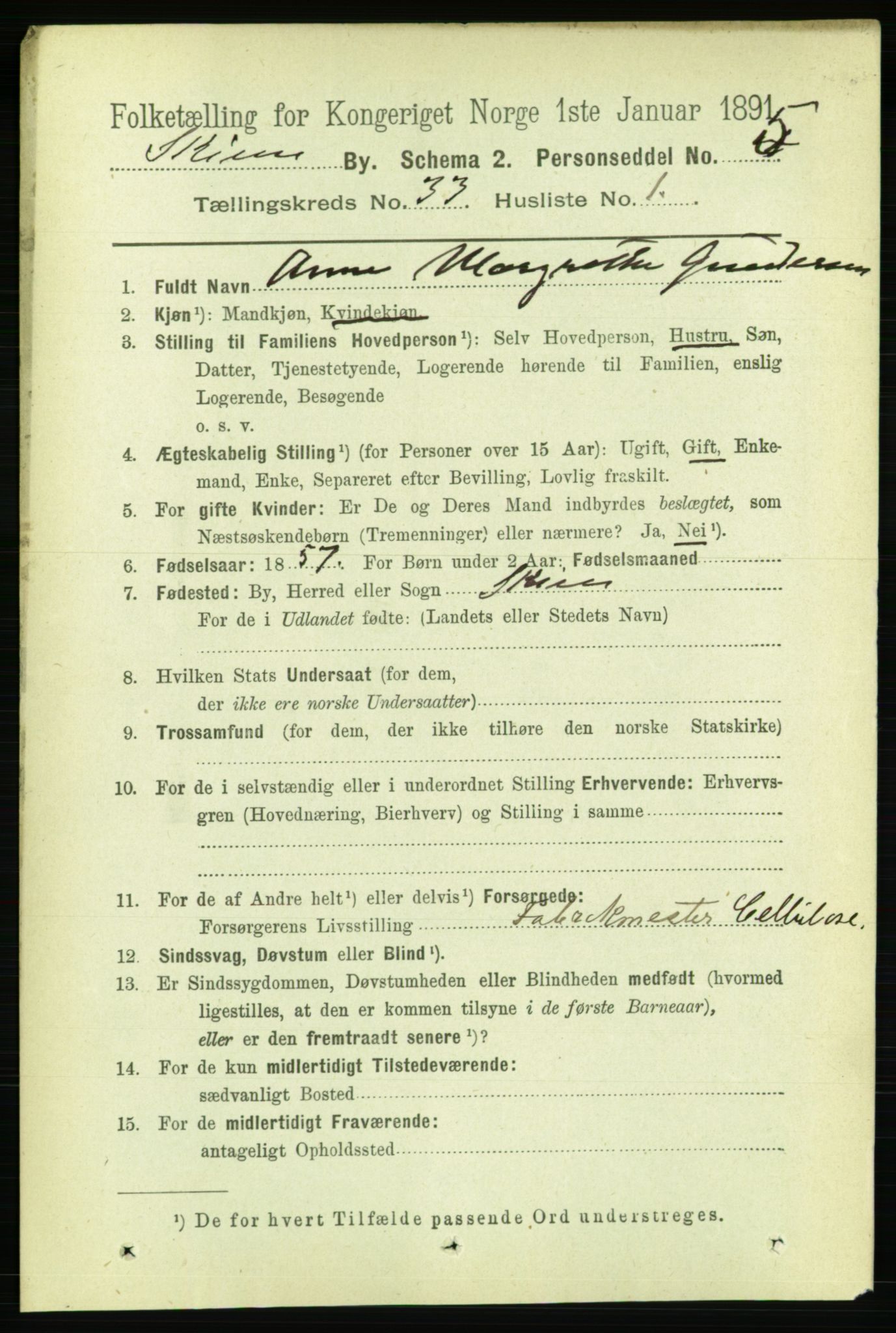 RA, 1891 census for 0806 Skien, 1891, p. 7495