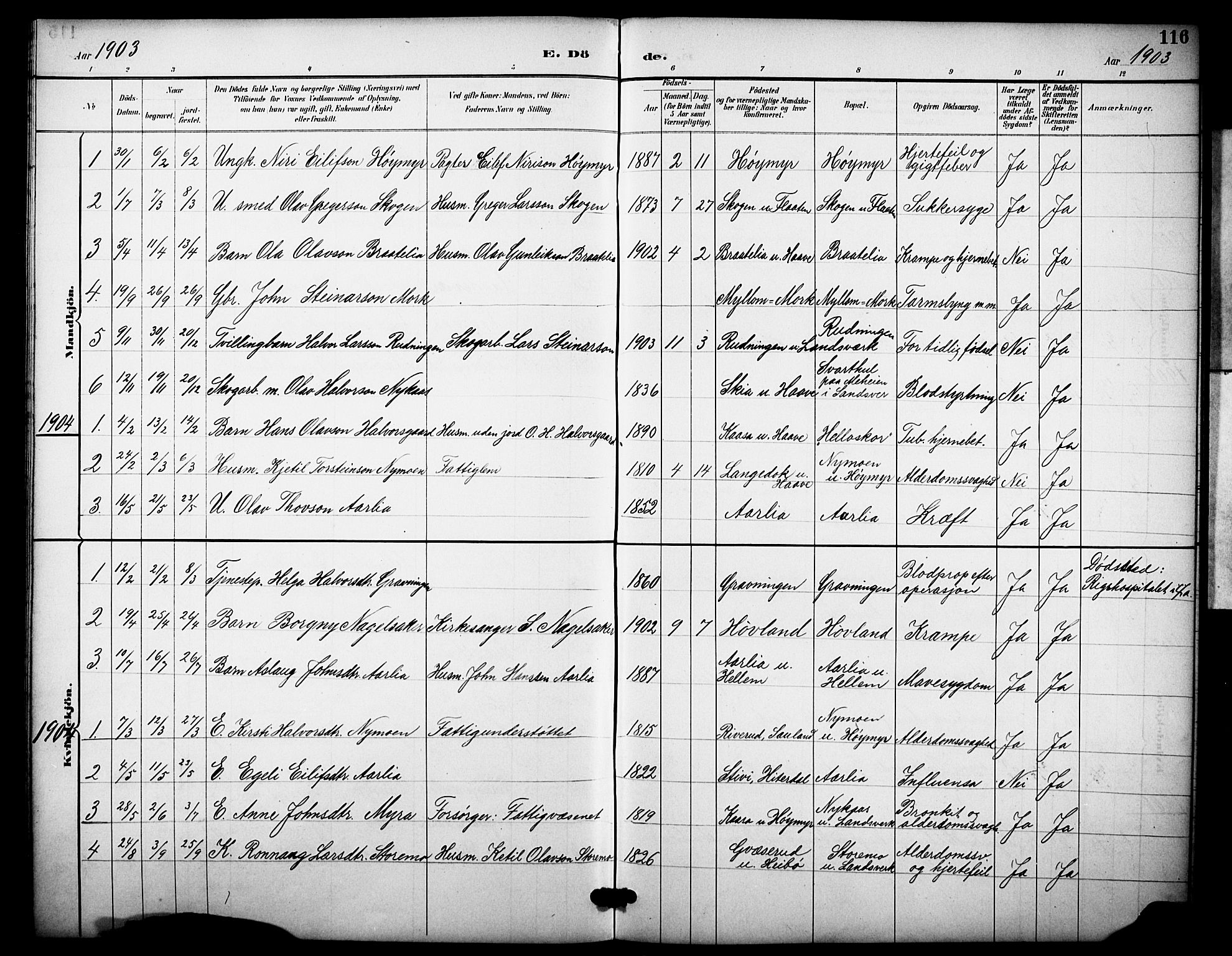 Heddal kirkebøker, AV/SAKO-A-268/F/Fb/L0001: Parish register (official) no. II 1, 1884-1910, p. 116