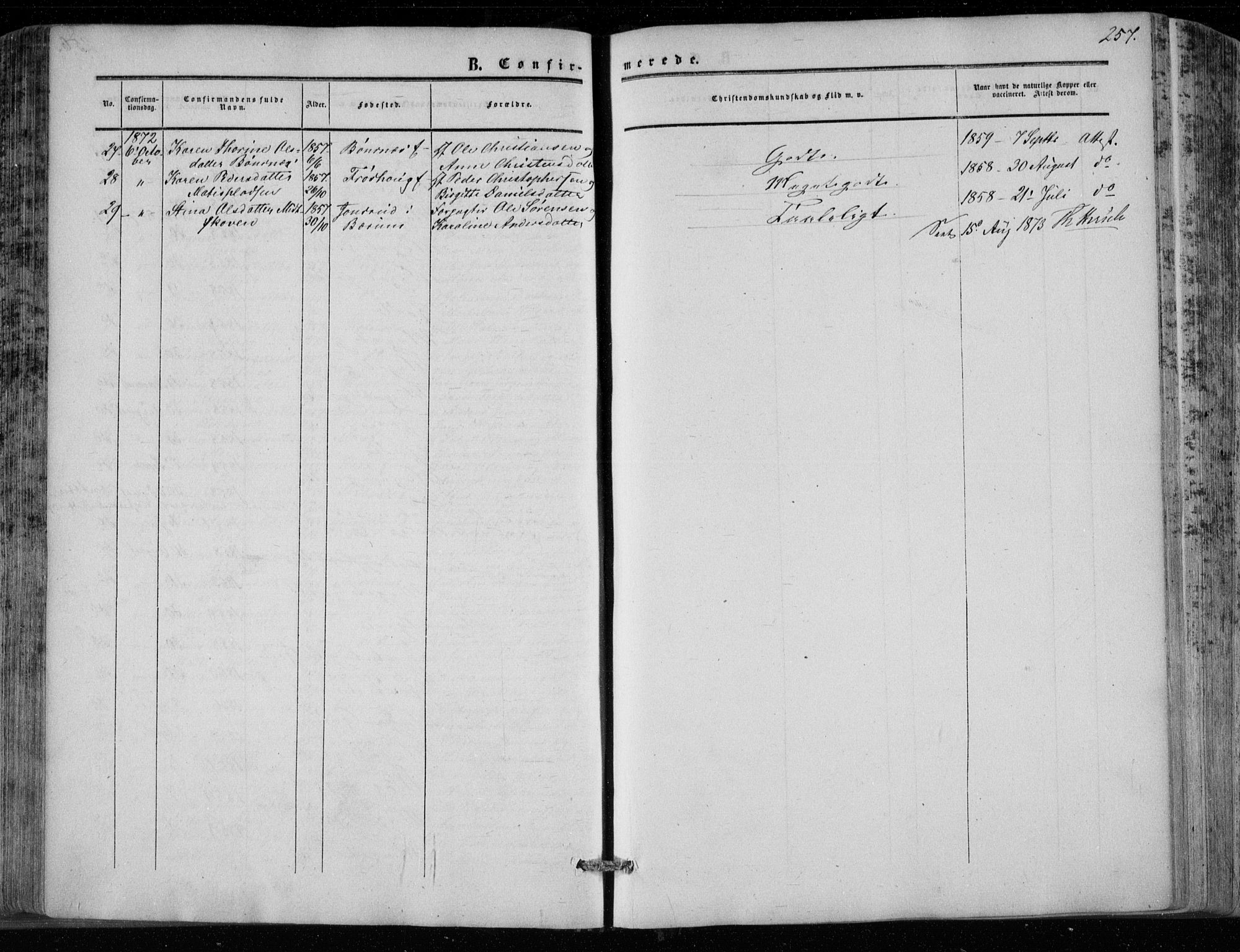 Hole kirkebøker, AV/SAKO-A-228/F/Fa/L0006: Parish register (official) no. I 6, 1852-1872, p. 257