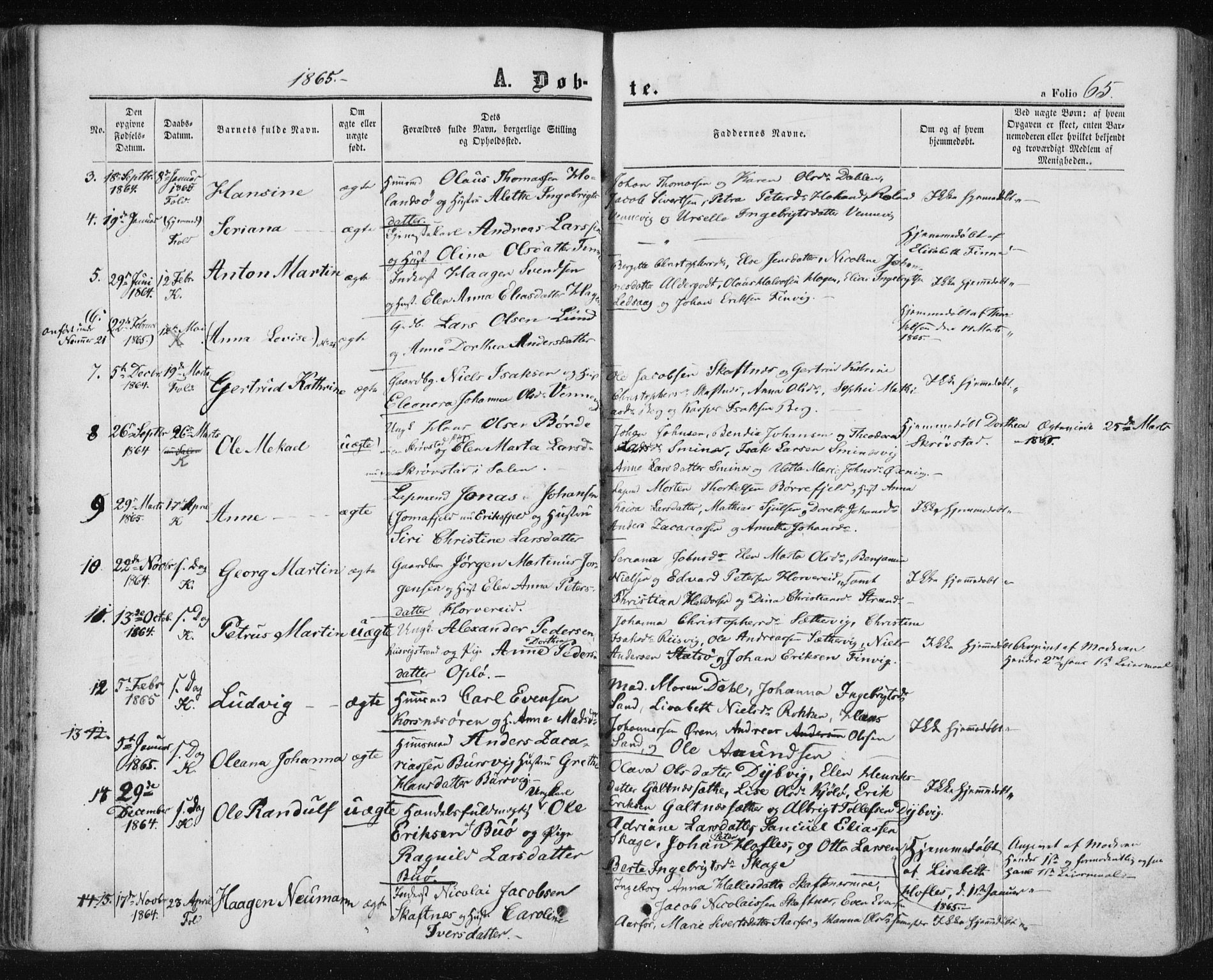 Ministerialprotokoller, klokkerbøker og fødselsregistre - Nord-Trøndelag, SAT/A-1458/780/L0641: Parish register (official) no. 780A06, 1857-1874, p. 65