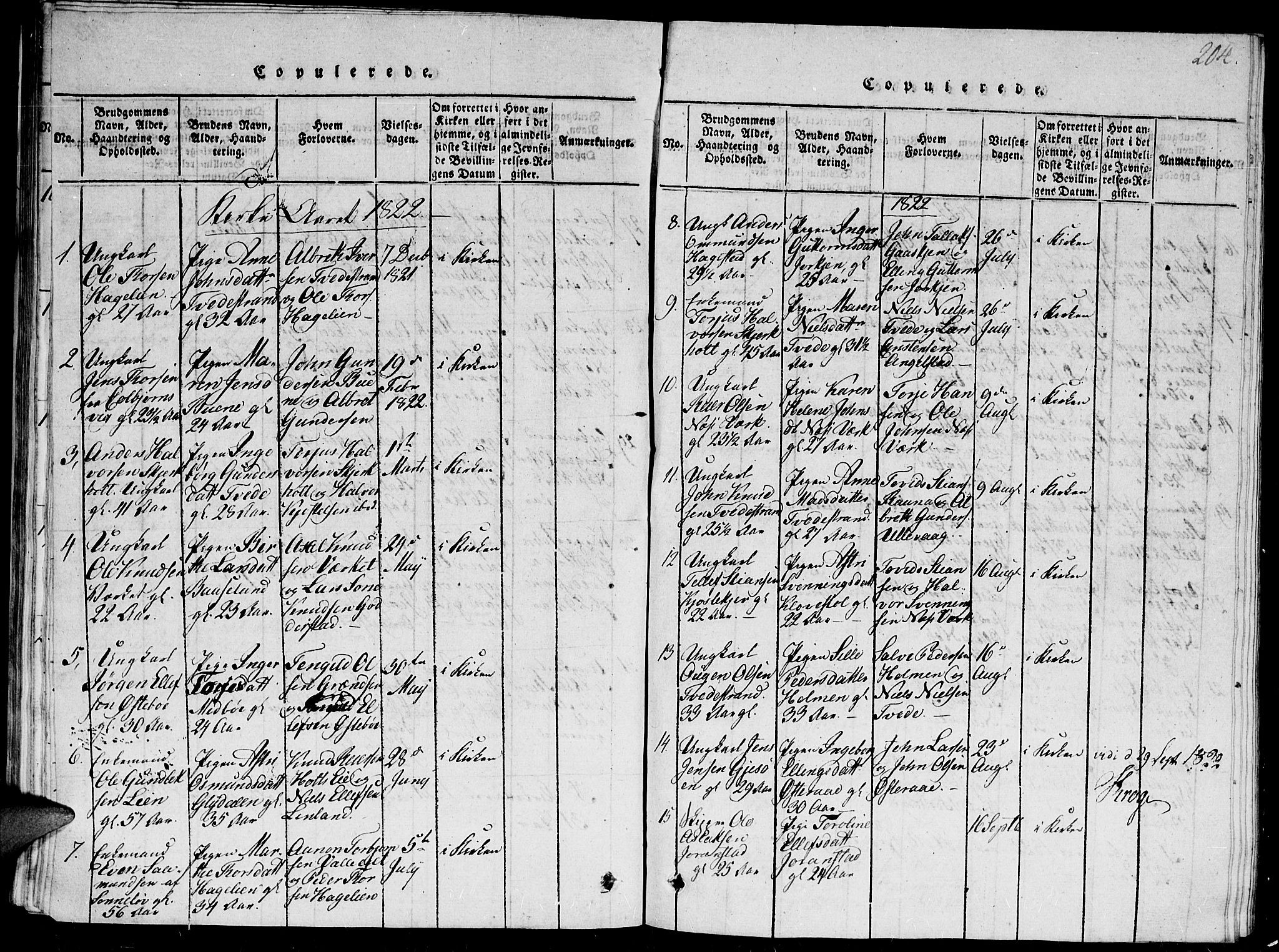 Holt sokneprestkontor, AV/SAK-1111-0021/F/Fb/L0006: Parish register (copy) no. B 6, 1813-1823, p. 204