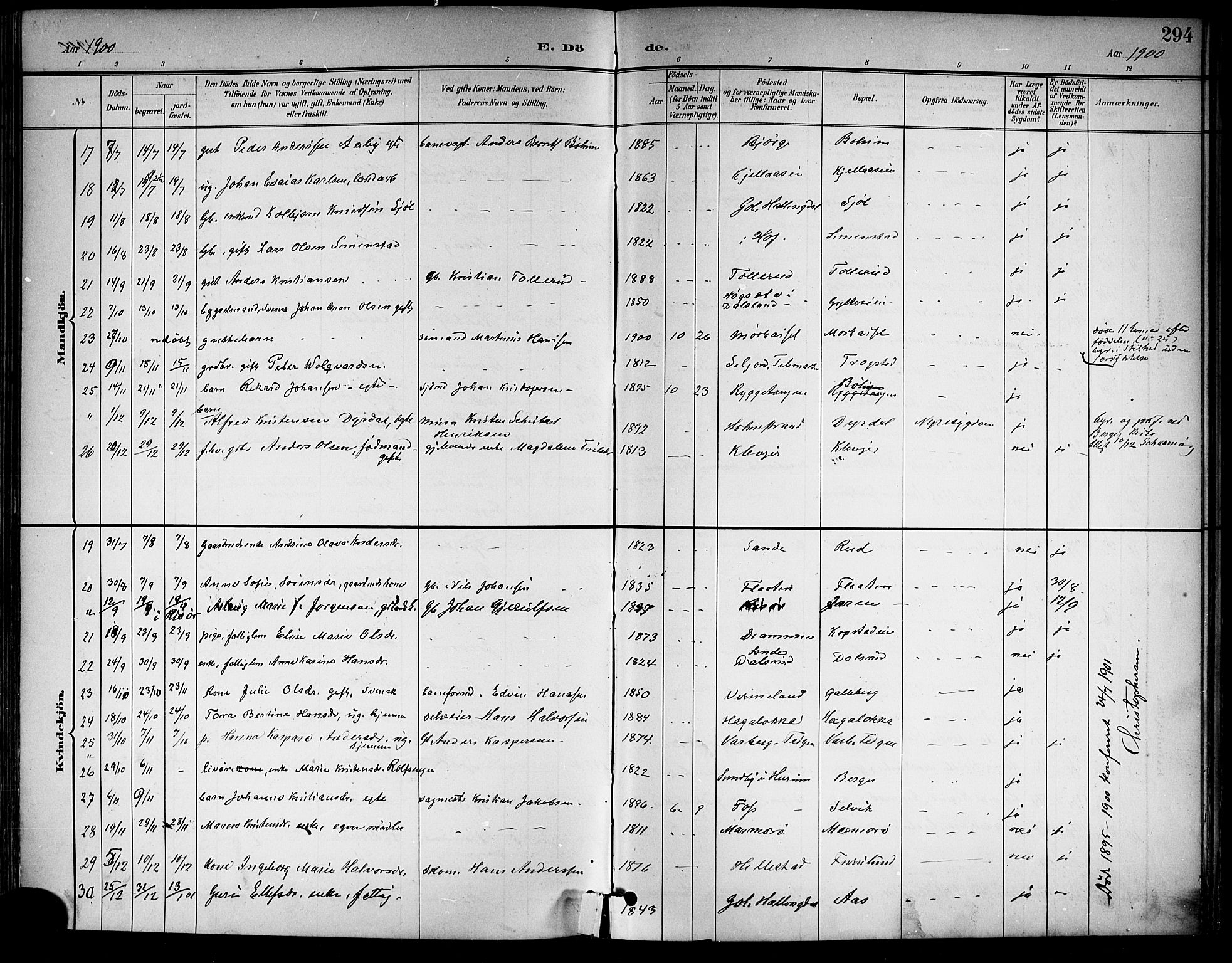 Sande Kirkebøker, AV/SAKO-A-53/G/Ga/L0004: Parish register (copy) no. 4, 1895-1918, p. 294