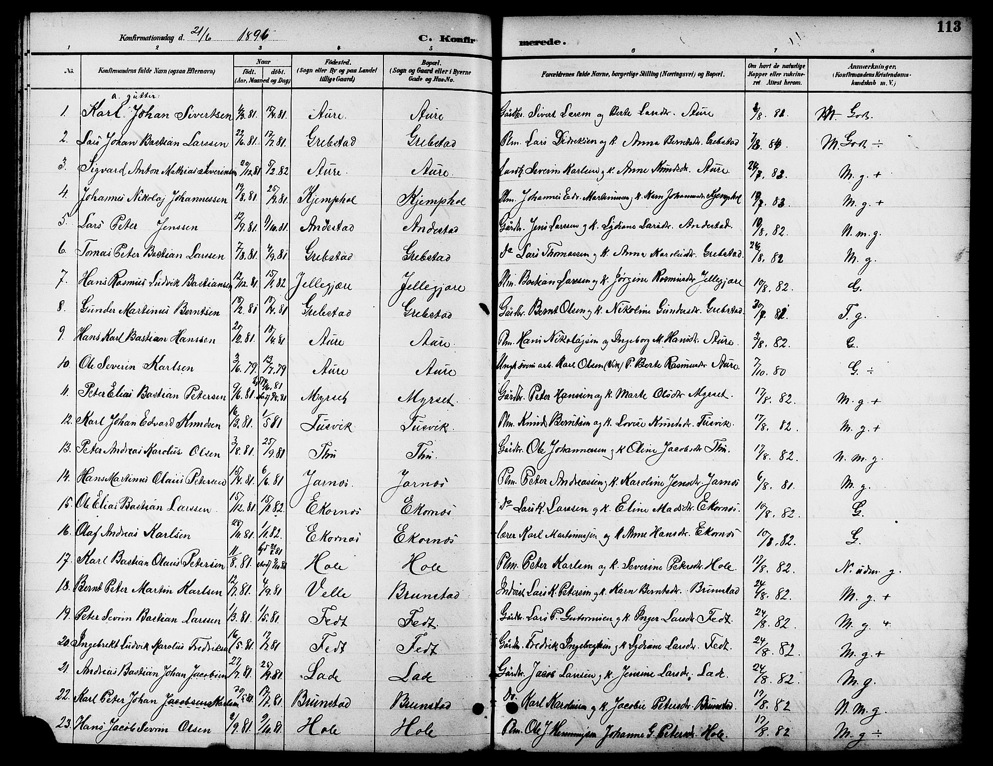 Ministerialprotokoller, klokkerbøker og fødselsregistre - Møre og Romsdal, AV/SAT-A-1454/523/L0340: Parish register (copy) no. 523C03, 1892-1902, p. 113