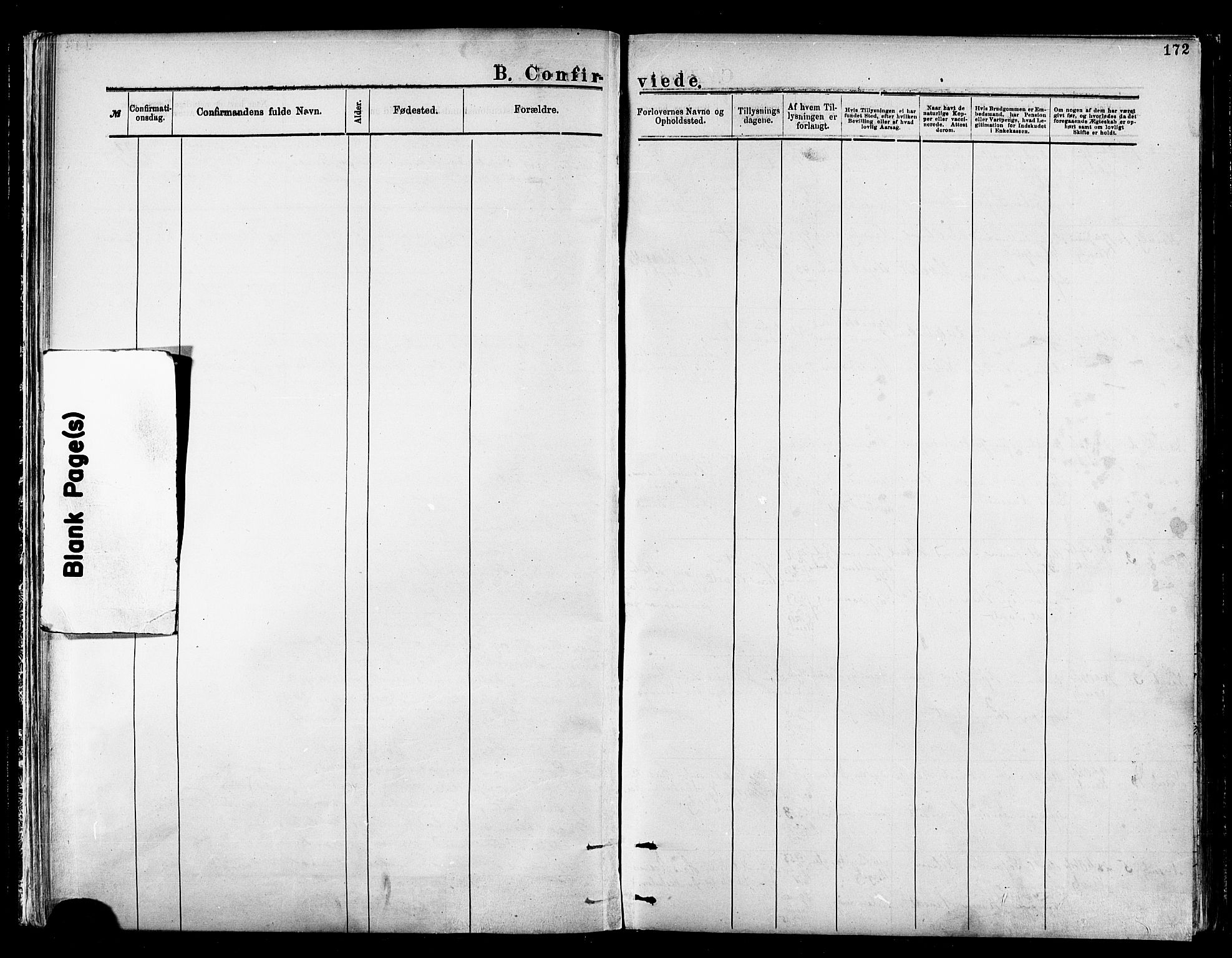 Nesseby sokneprestkontor, AV/SATØ-S-1330/H/Ha/L0004kirke: Parish register (official) no. 4, 1877-1884, p. 172