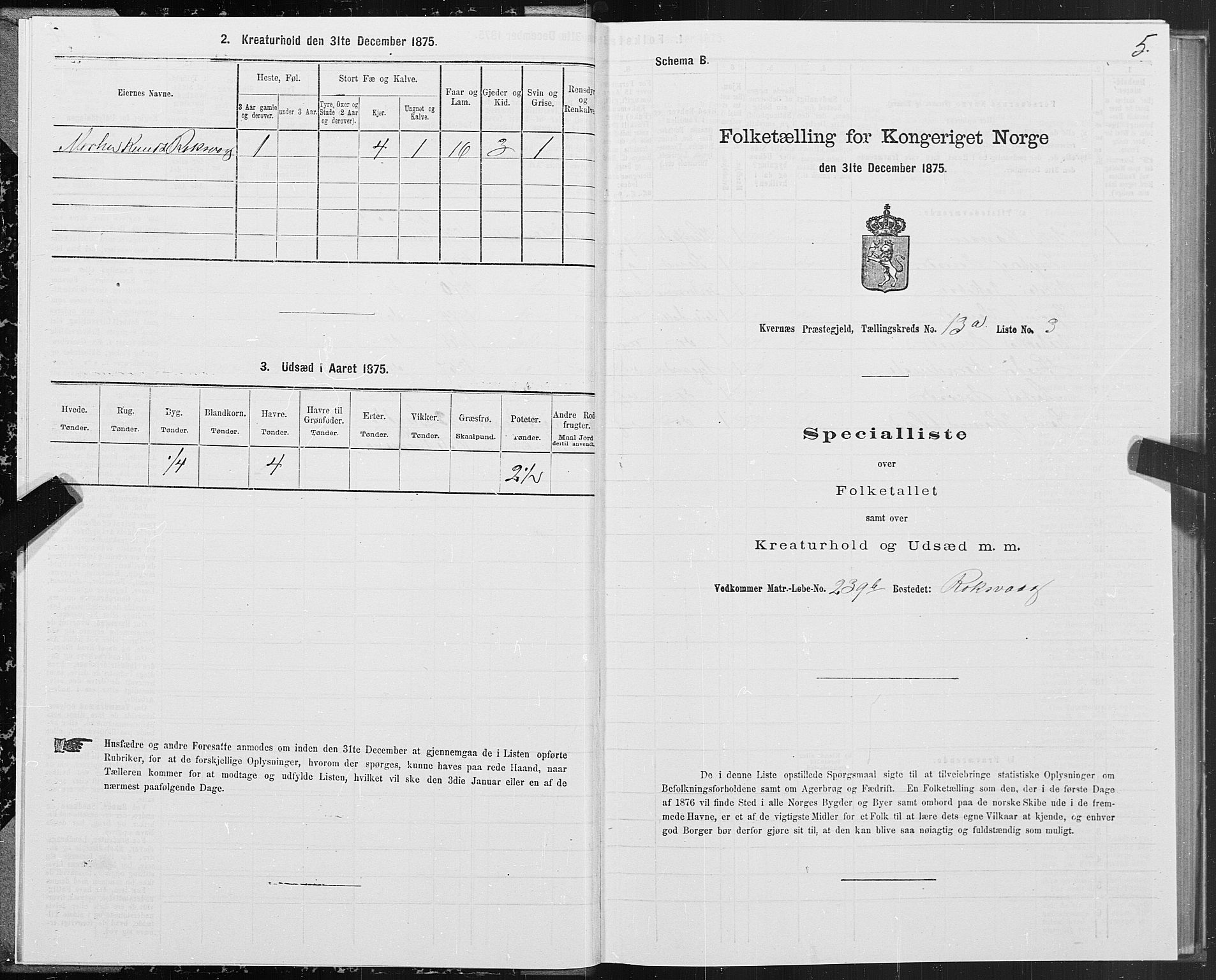 SAT, 1875 census for 1553P Kvernes, 1875, p. 7005