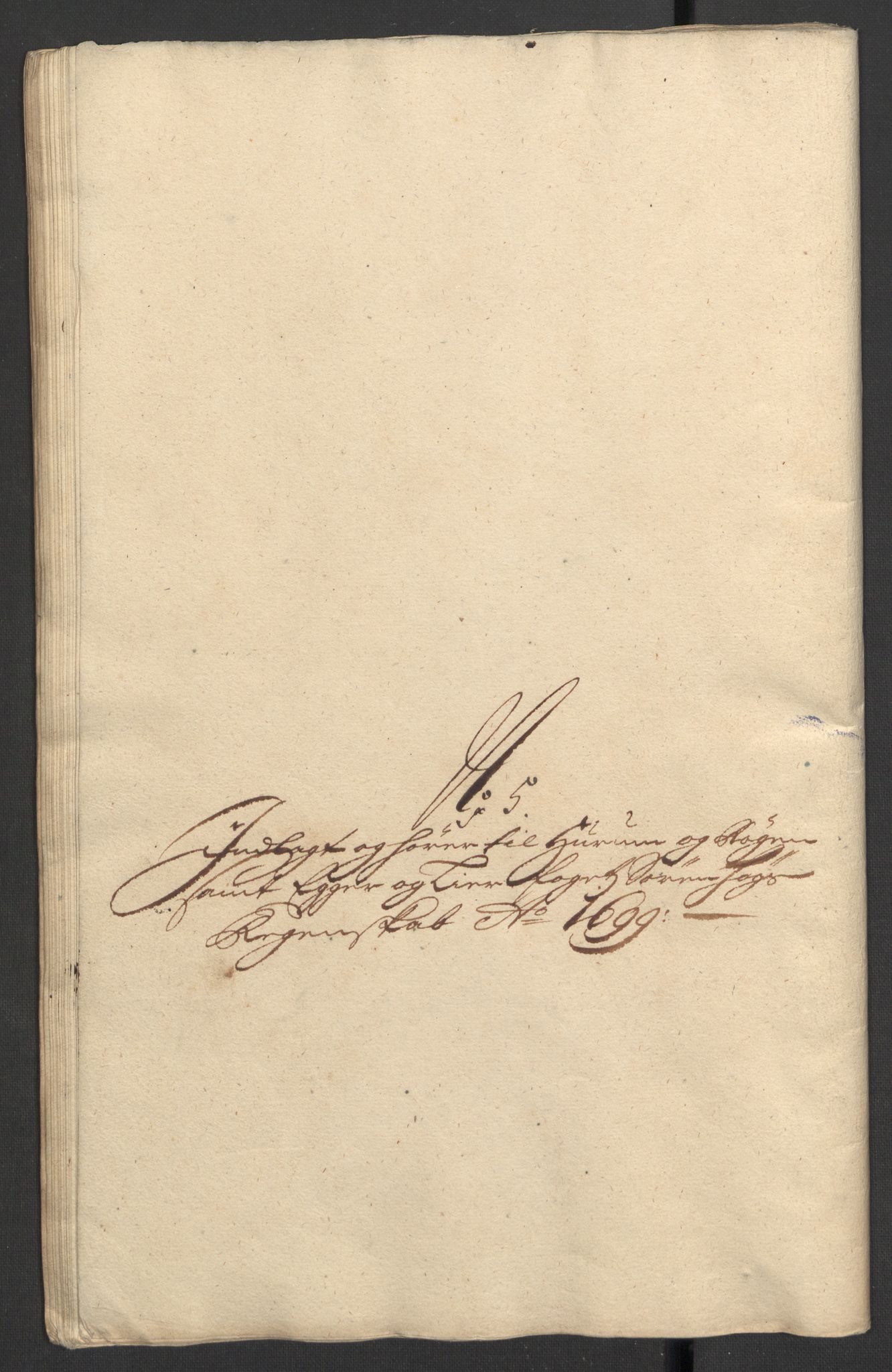 Rentekammeret inntil 1814, Reviderte regnskaper, Fogderegnskap, AV/RA-EA-4092/R30/L1696: Fogderegnskap Hurum, Røyken, Eiker og Lier, 1698-1699, p. 245