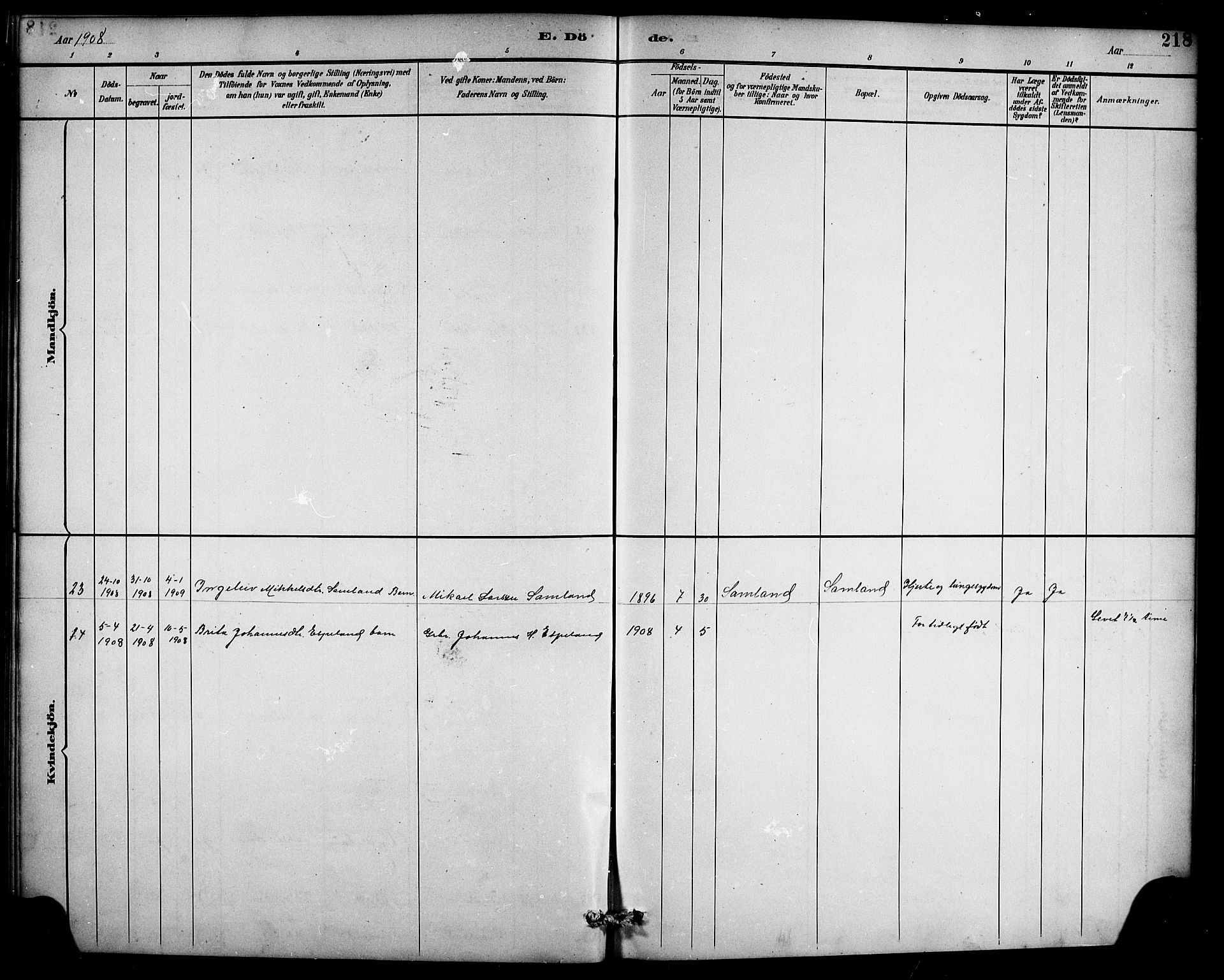 Ullensvang sokneprestembete, AV/SAB-A-78701/H/Hab: Parish register (copy) no. D 1, 1891-1908, p. 218