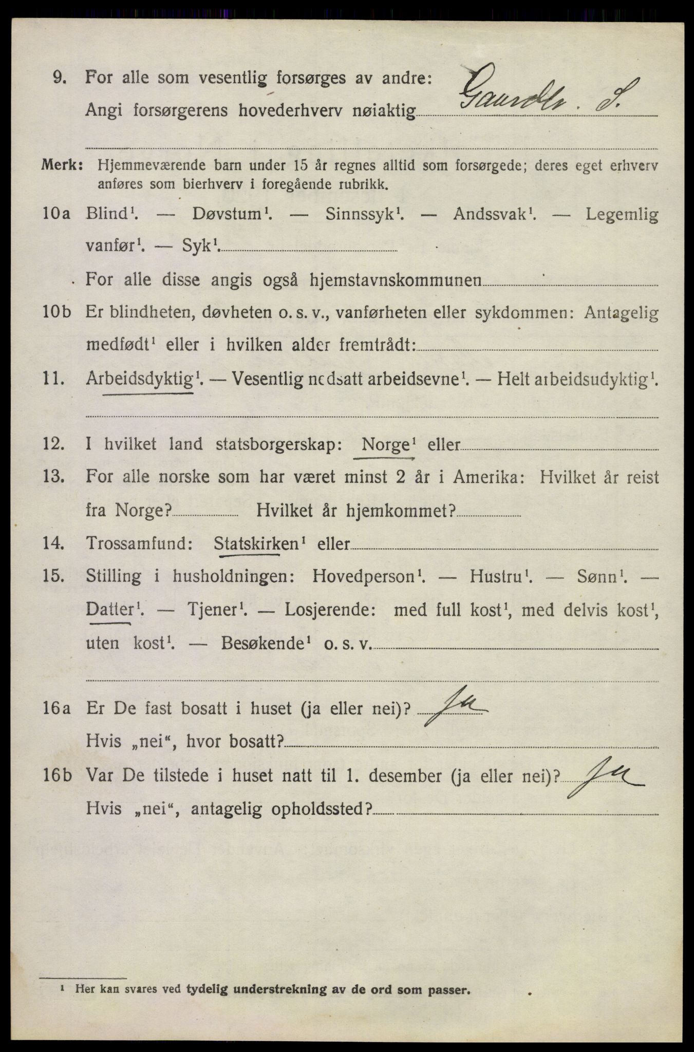 SAKO, 1920 census for Våle, 1920, p. 4803