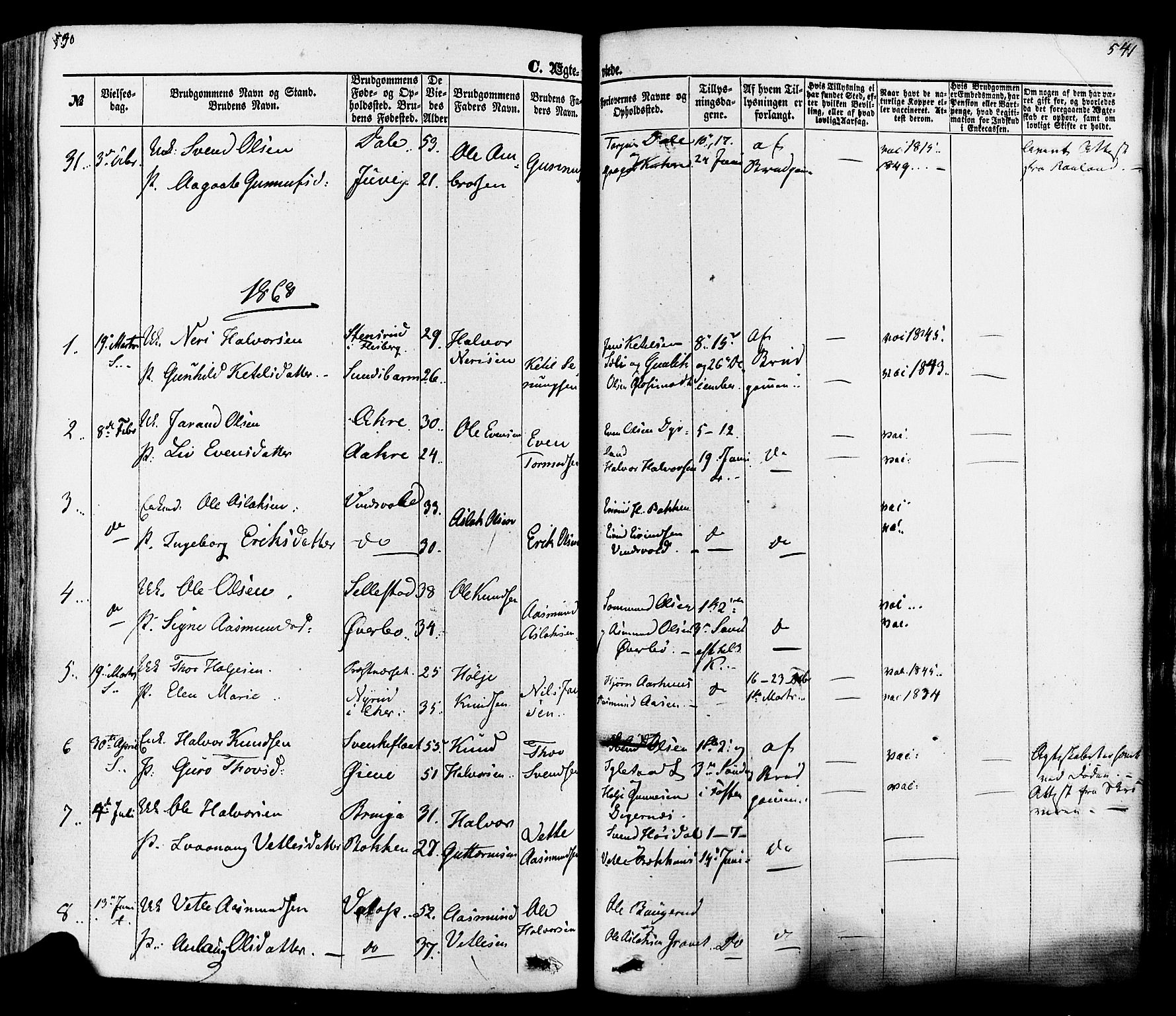 Seljord kirkebøker, SAKO/A-20/F/Fa/L0013: Parish register (official) no. I 13, 1866-1876, p. 540-541