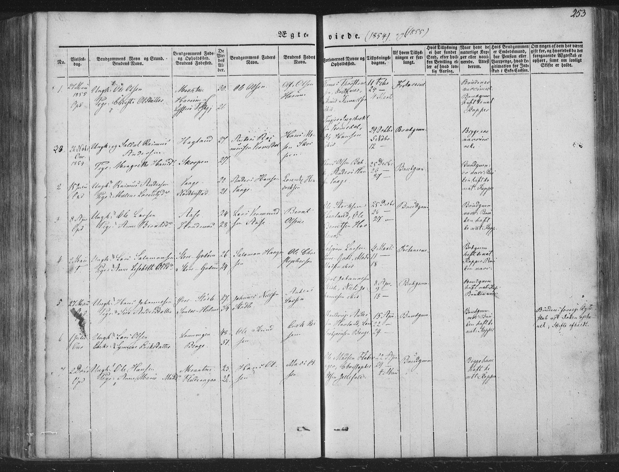 Tysnes sokneprestembete, AV/SAB-A-78601/H/Haa: Parish register (official) no. A 10, 1848-1859, p. 253