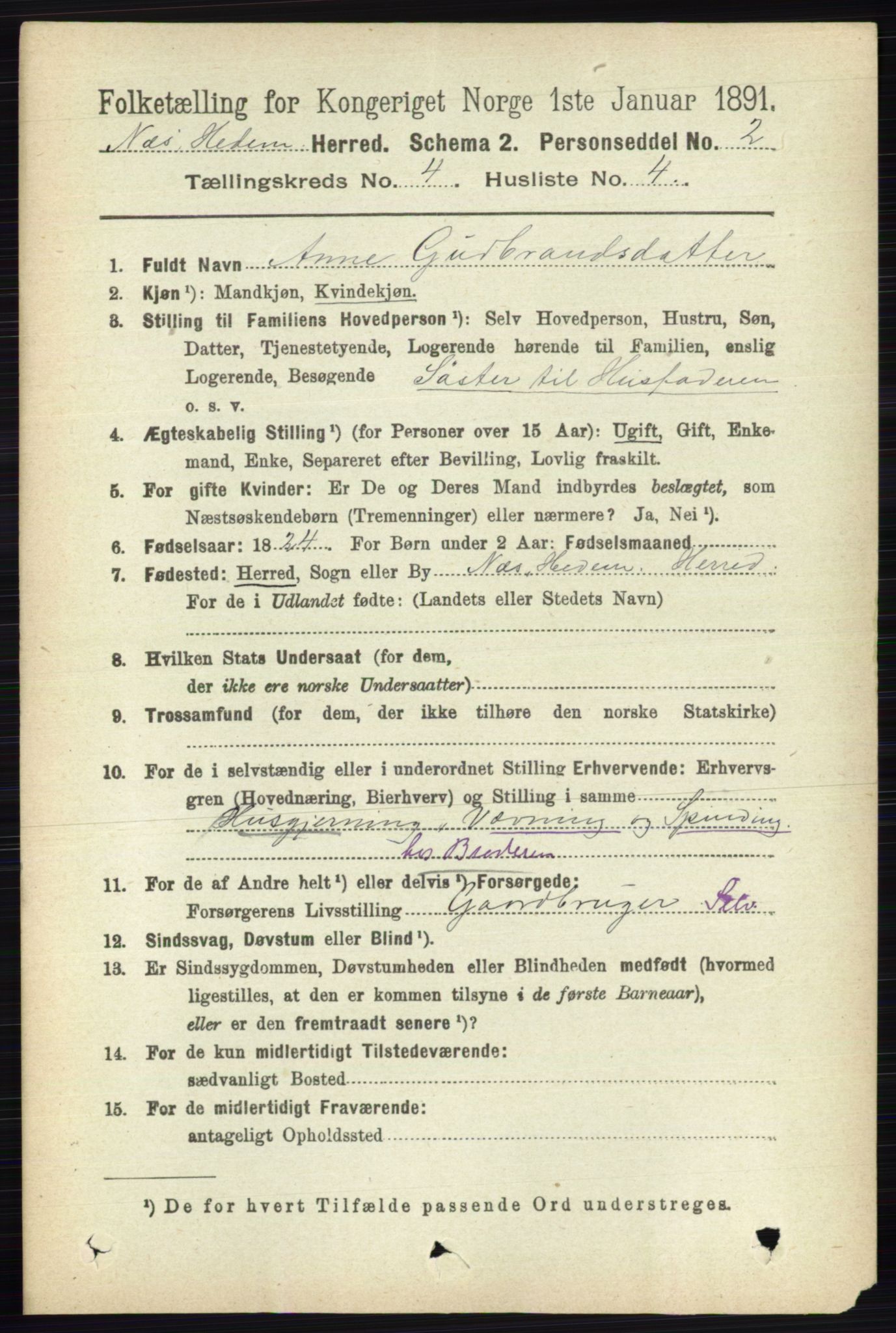 RA, 1891 census for 0411 Nes, 1891, p. 2058