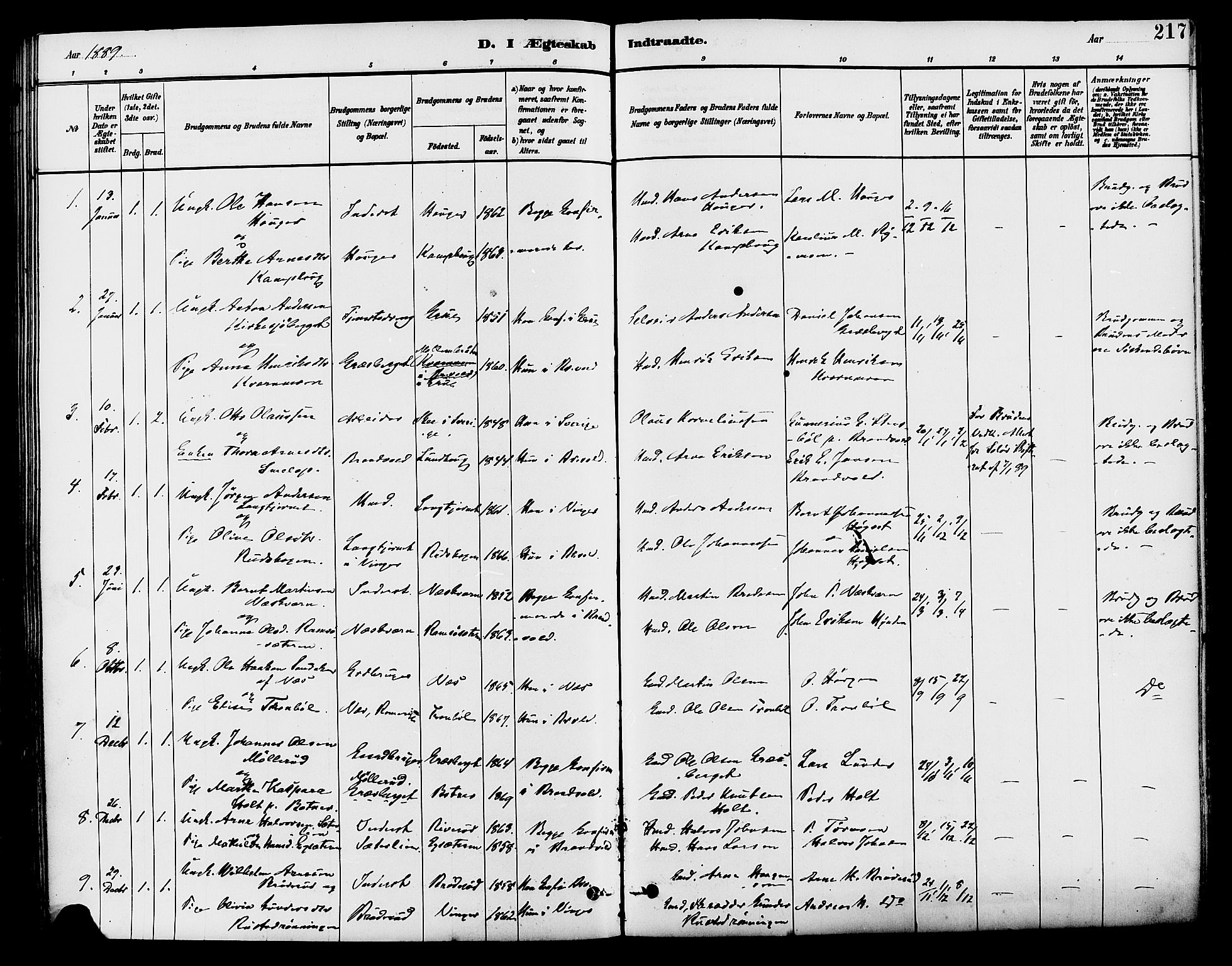 Brandval prestekontor, SAH/PREST-034/H/Ha/Haa/L0002: Parish register (official) no. 2, 1880-1894, p. 217