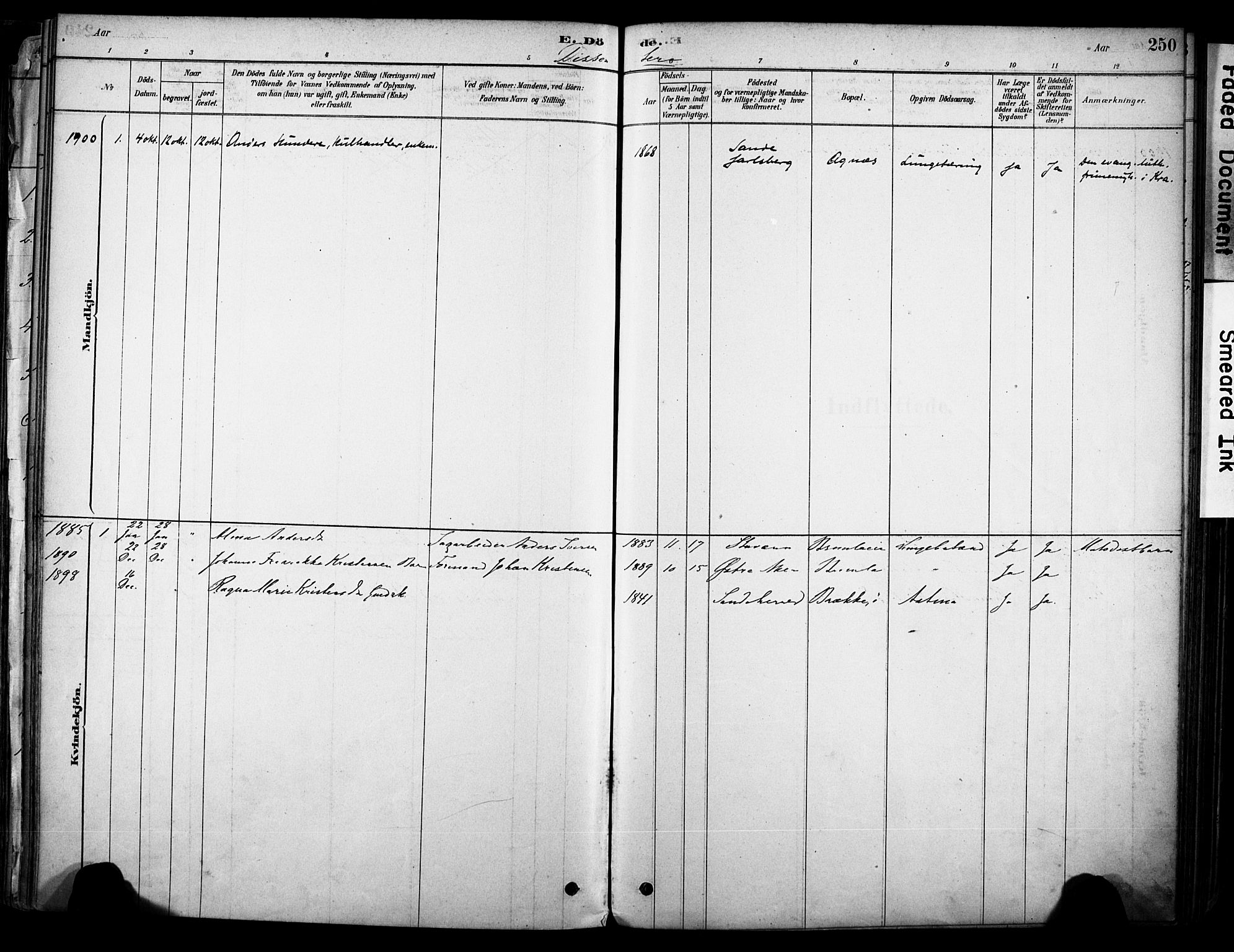 Brunlanes kirkebøker, SAKO/A-342/F/Fc/L0001: Parish register (official) no. III 1, 1878-1899, p. 250