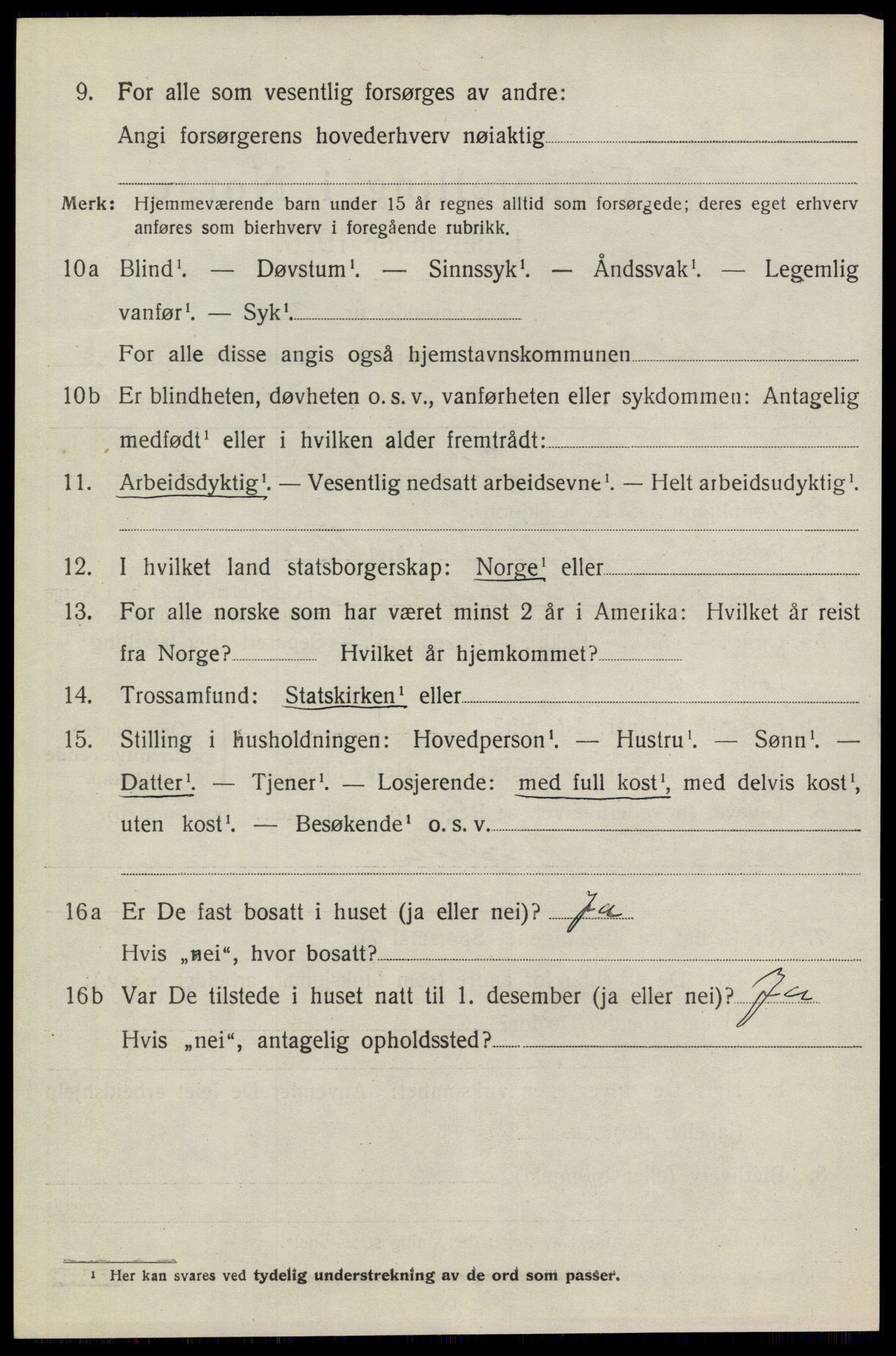 SAKO, 1920 census for Heddal, 1920, p. 4133