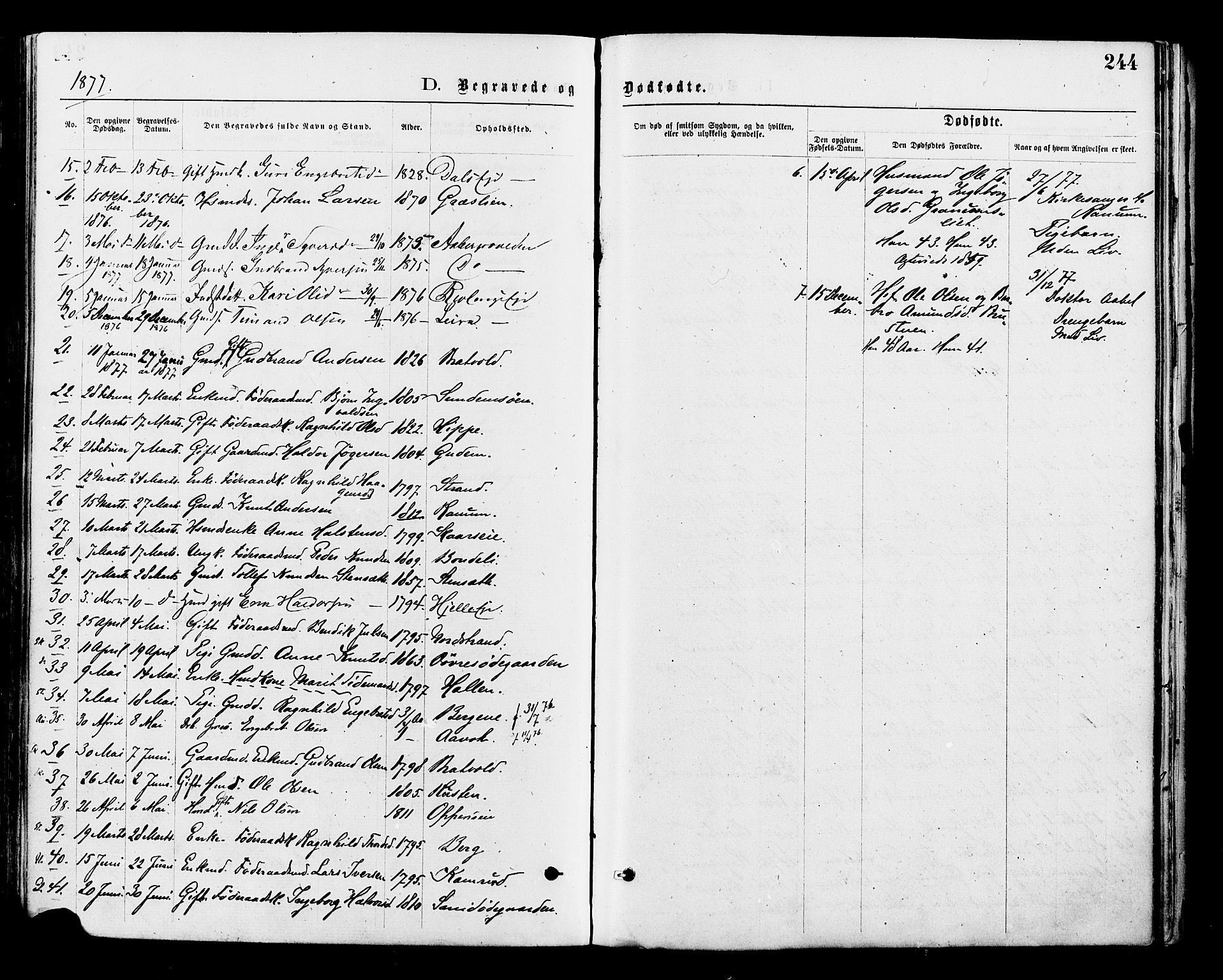 Nord-Aurdal prestekontor, SAH/PREST-132/H/Ha/Haa/L0009: Parish register (official) no. 9, 1876-1882, p. 244
