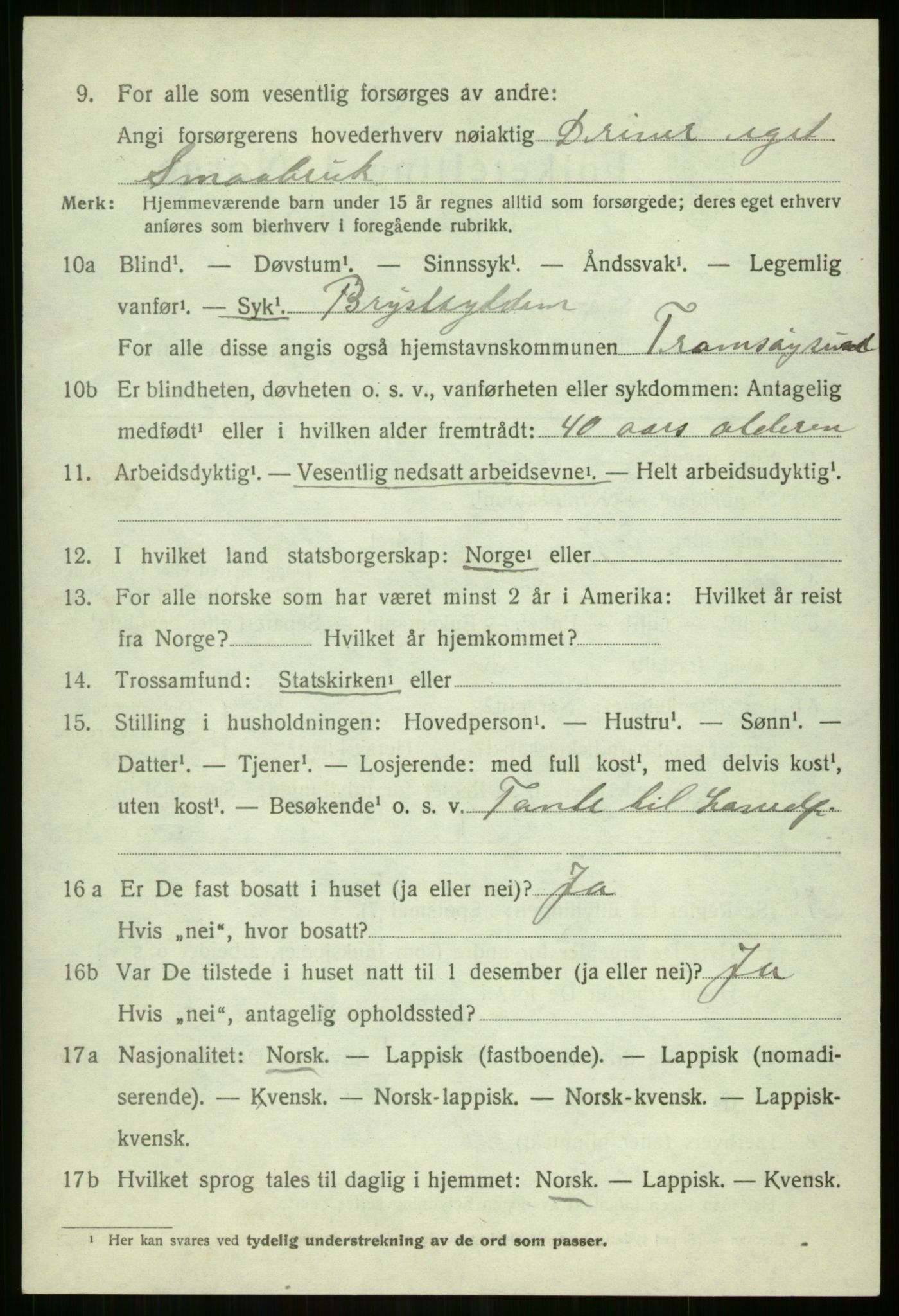 SATØ, 1920 census for Tromsøysund, 1920, p. 10167