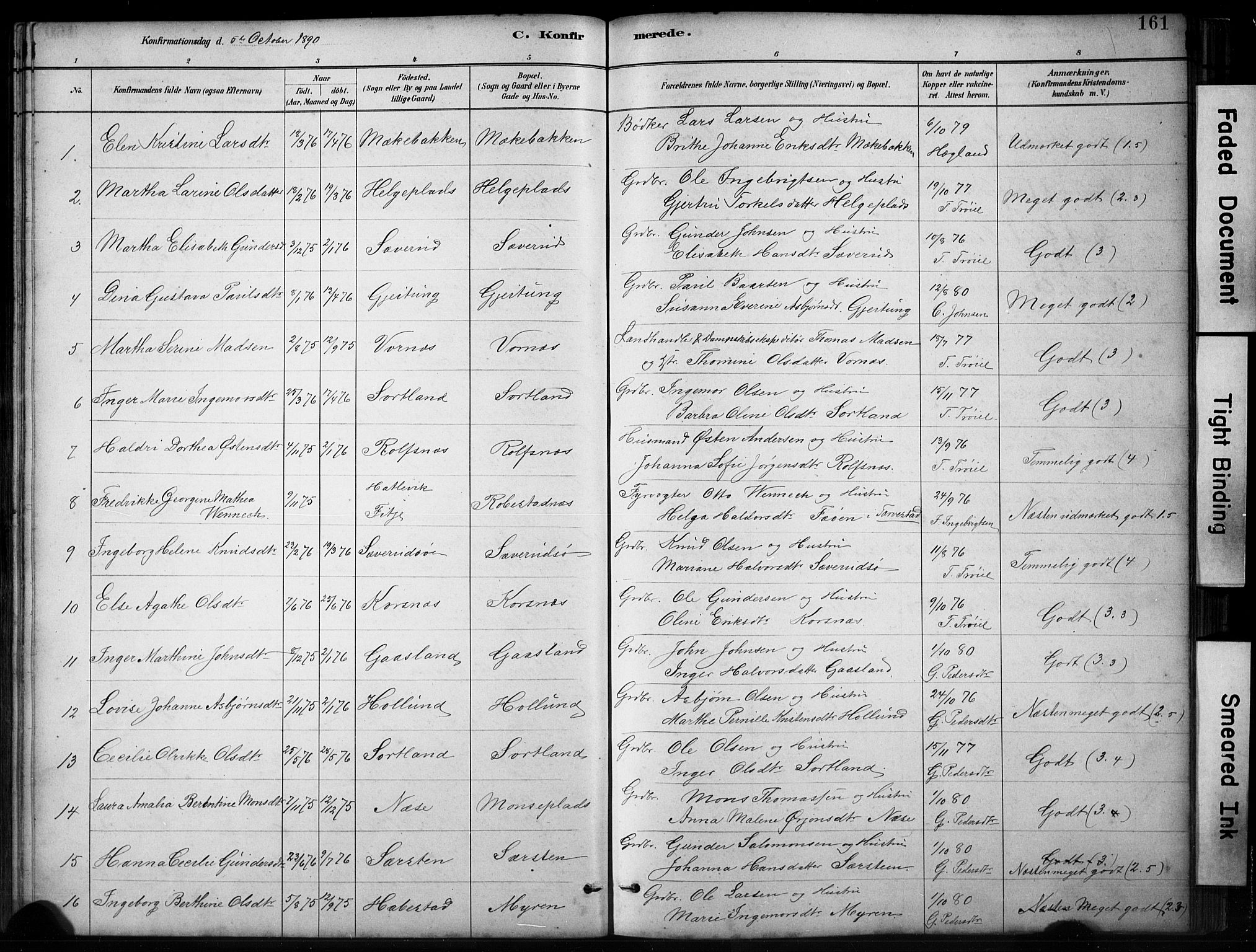 Finnås sokneprestembete, AV/SAB-A-99925/H/Ha/Hab/Habb/L0003: Parish register (copy) no. B 3, 1882-1897, p. 161