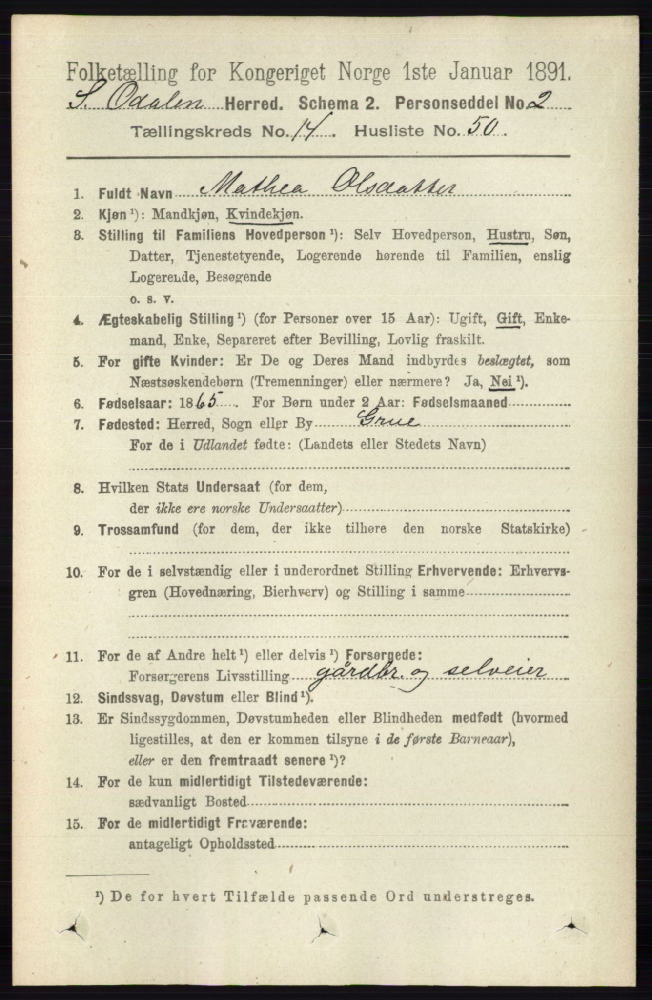 RA, 1891 census for 0419 Sør-Odal, 1891, p. 6349