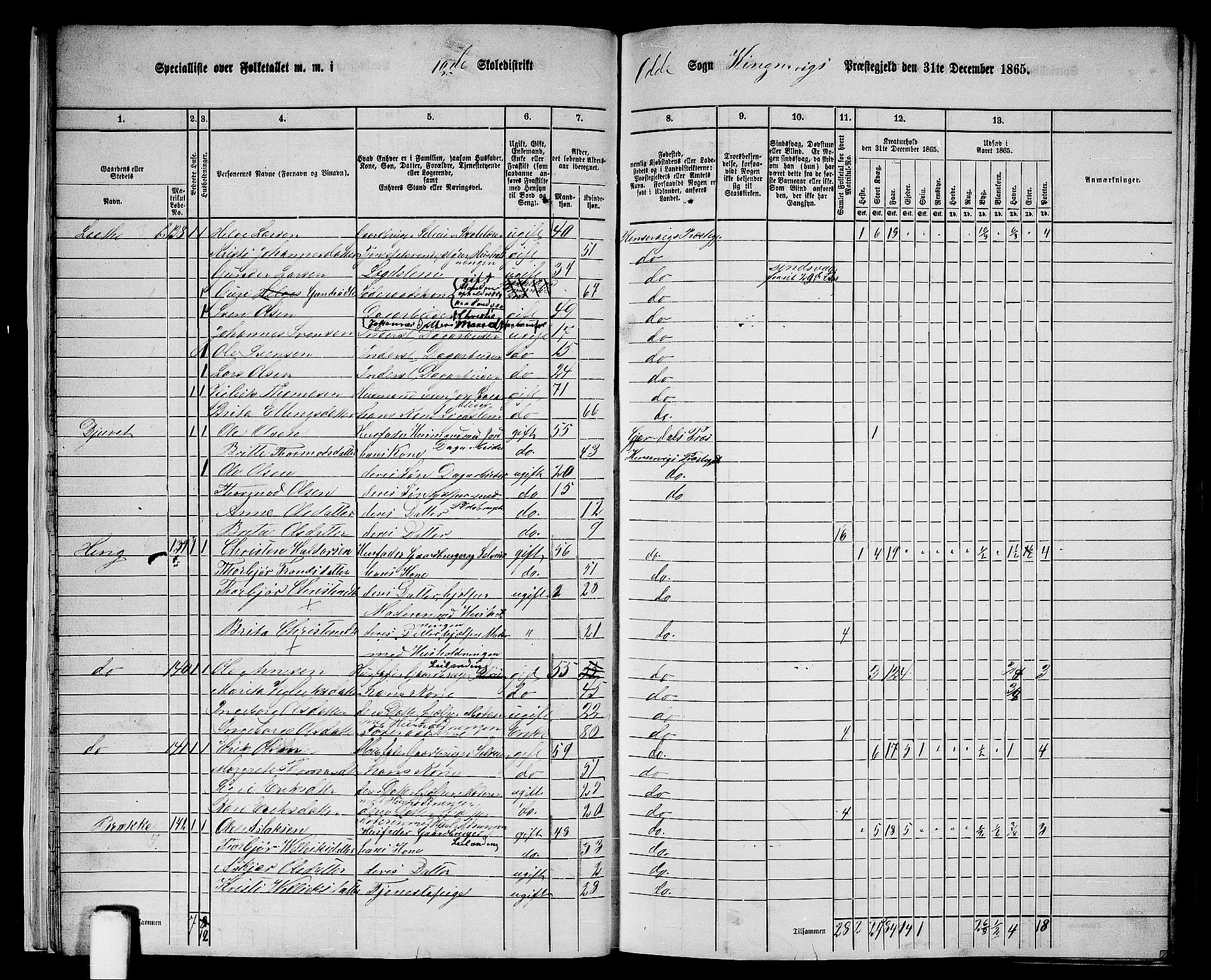 RA, 1865 census for Kinsarvik, 1865, p. 21