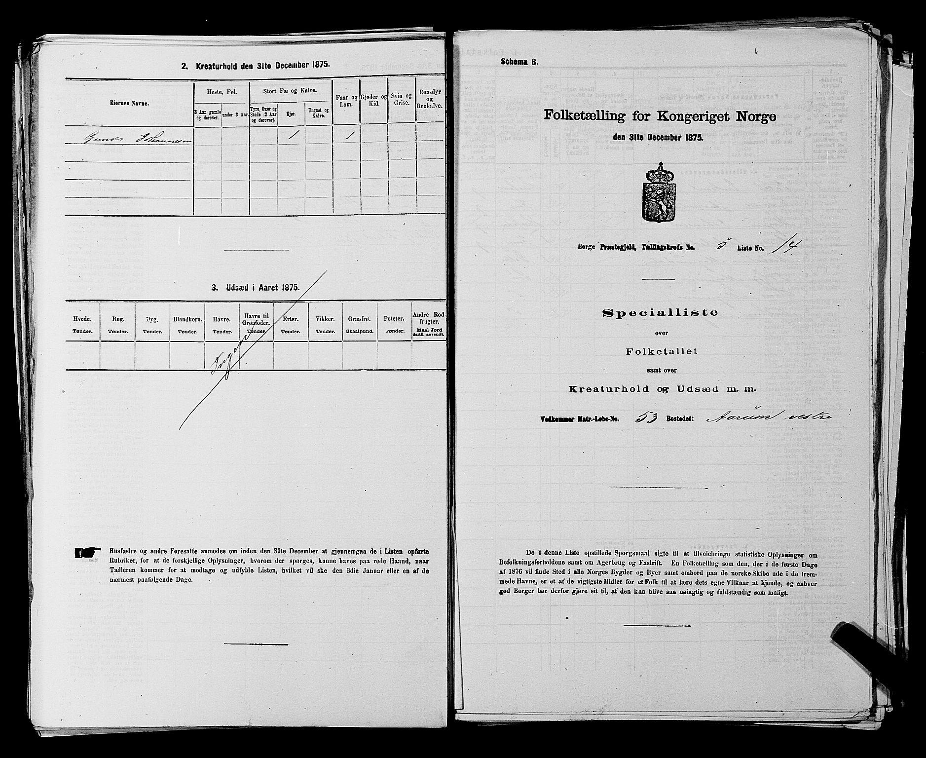 RA, 1875 census for 0113P Borge, 1875, p. 807