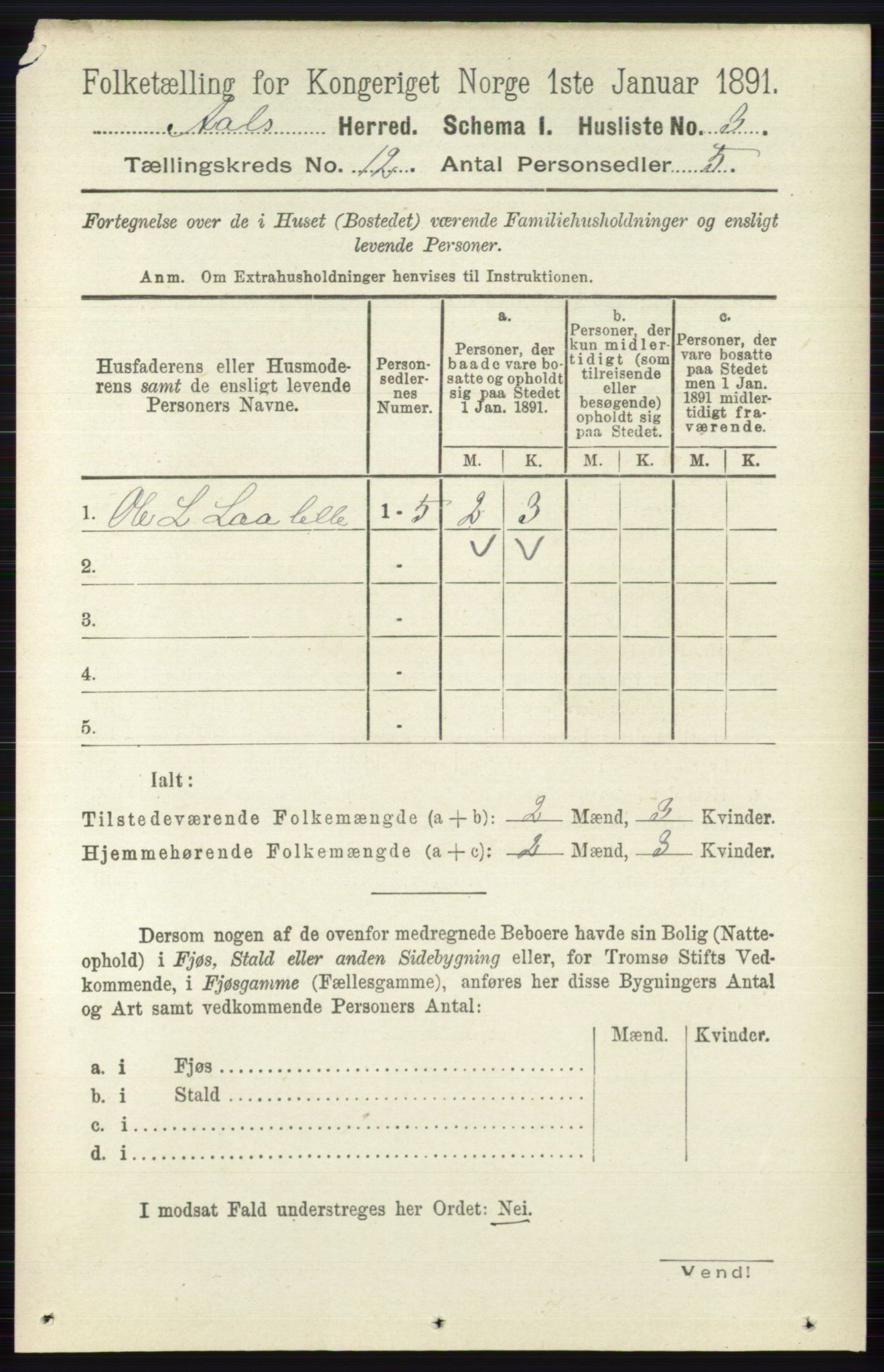 RA, 1891 census for 0619 Ål, 1891, p. 2972