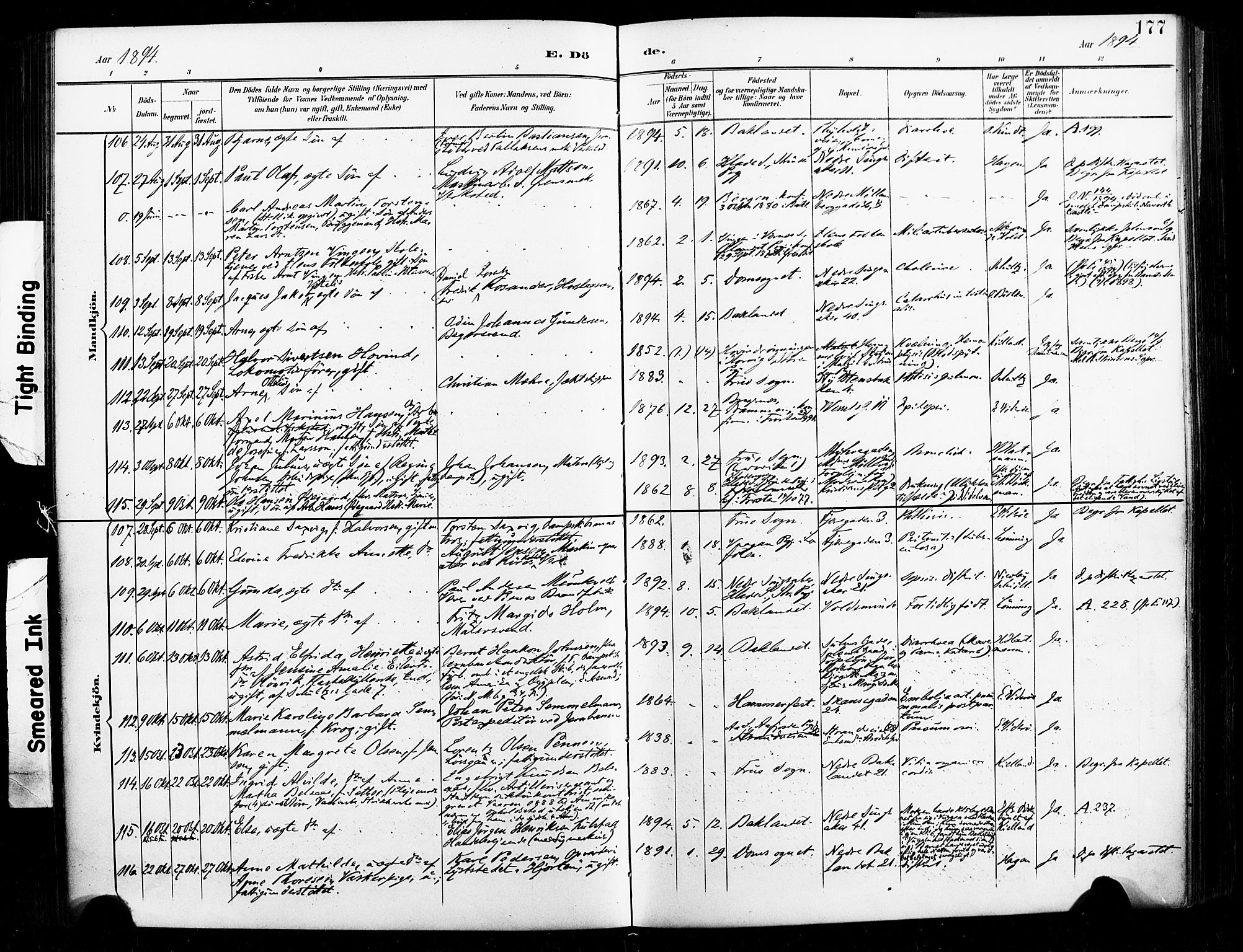 Ministerialprotokoller, klokkerbøker og fødselsregistre - Sør-Trøndelag, AV/SAT-A-1456/604/L0198: Parish register (official) no. 604A19, 1893-1900, p. 177