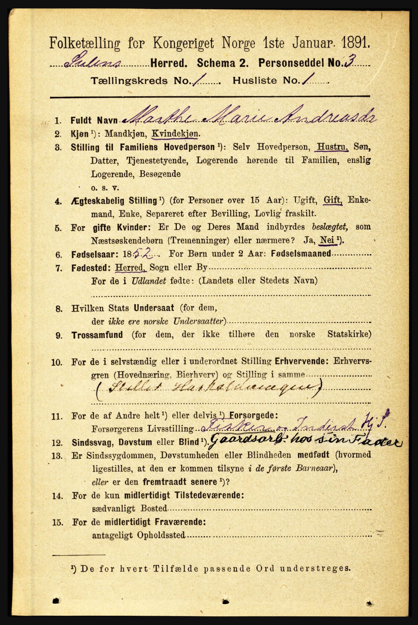 RA, 1891 census for 1412 Solund, 1891, p. 100