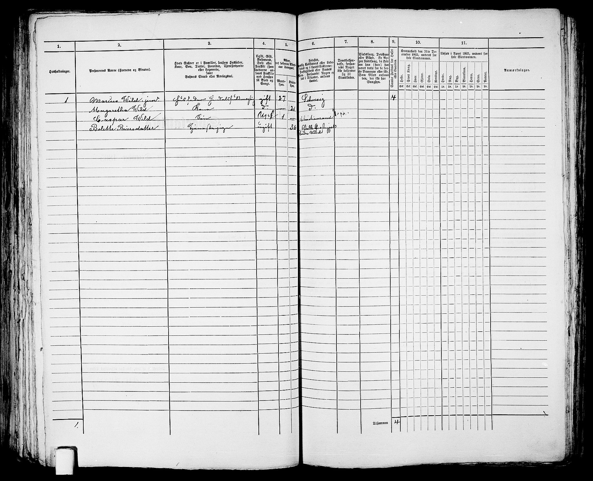 RA, 1865 census for Kristiansand, 1865, p. 1721