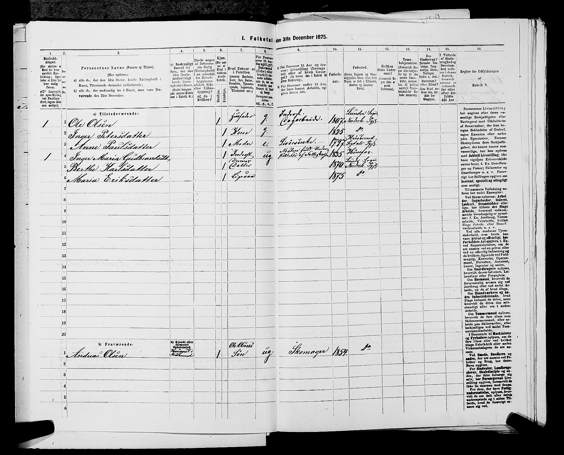 SAKO, 1875 census for 0613L Norderhov/Norderhov, Haug og Lunder, 1875, p. 2530