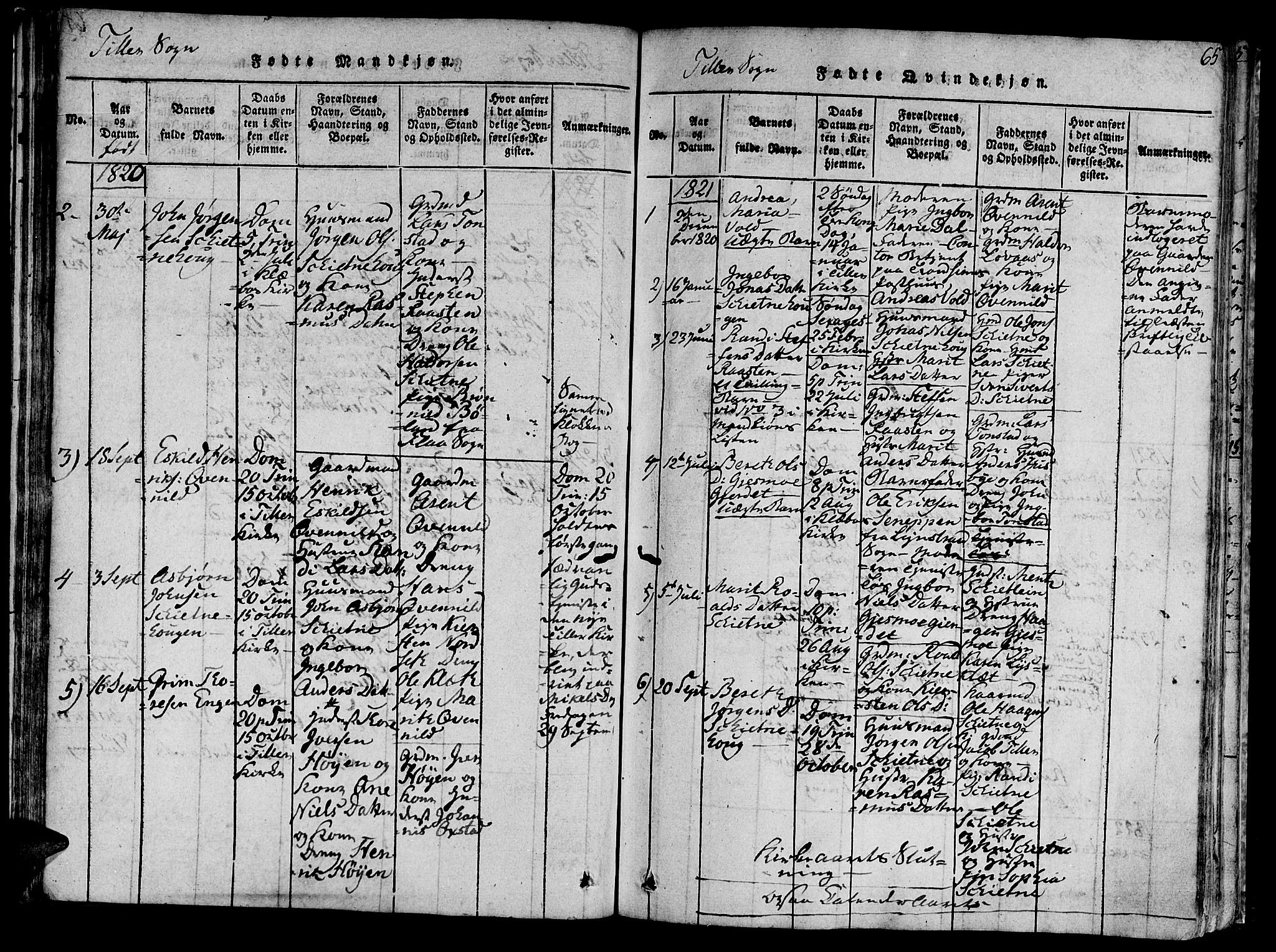 Ministerialprotokoller, klokkerbøker og fødselsregistre - Sør-Trøndelag, SAT/A-1456/618/L0440: Parish register (official) no. 618A04 /2, 1816-1843, p. 65