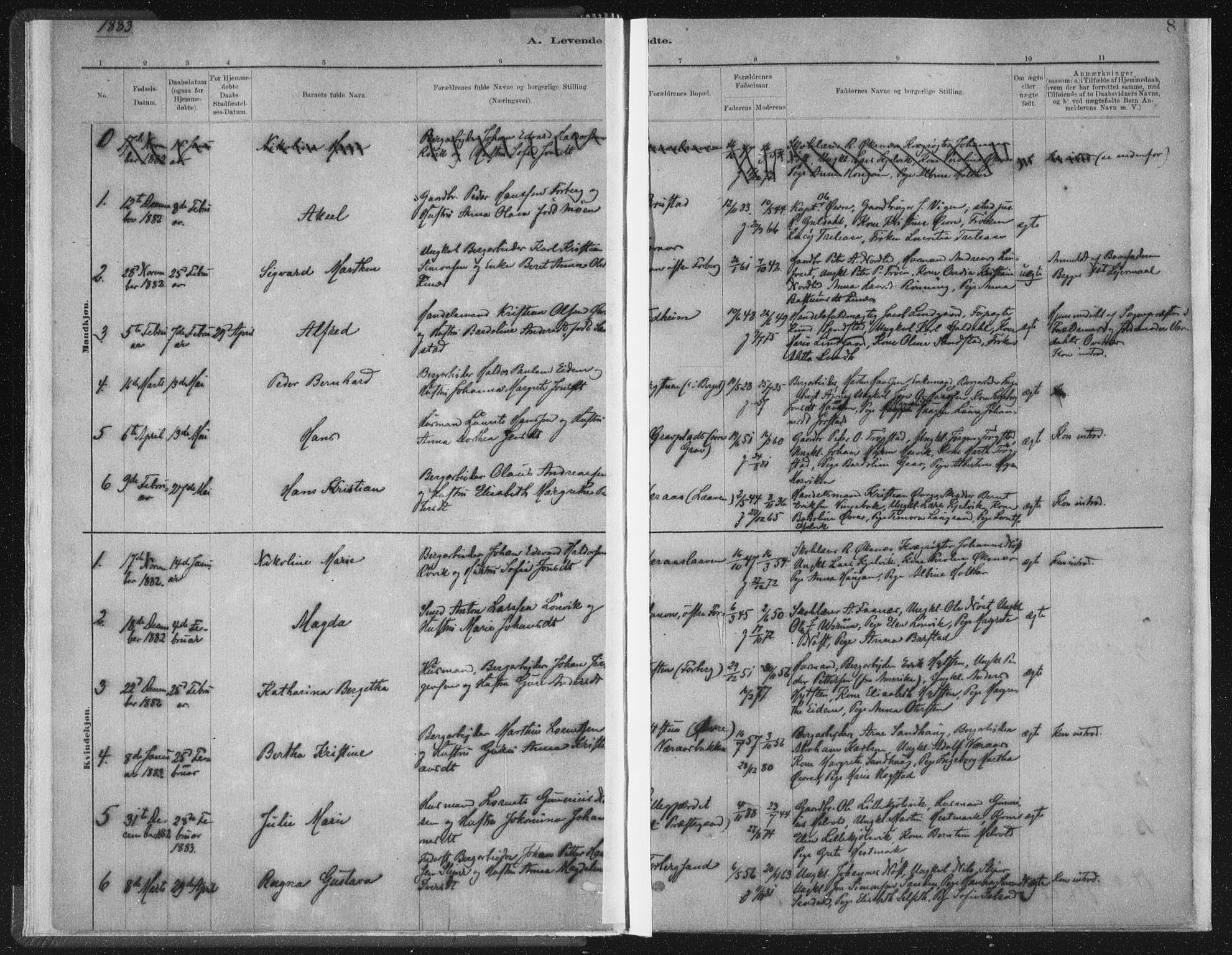 Ministerialprotokoller, klokkerbøker og fødselsregistre - Nord-Trøndelag, SAT/A-1458/722/L0220: Parish register (official) no. 722A07, 1881-1908, p. 8