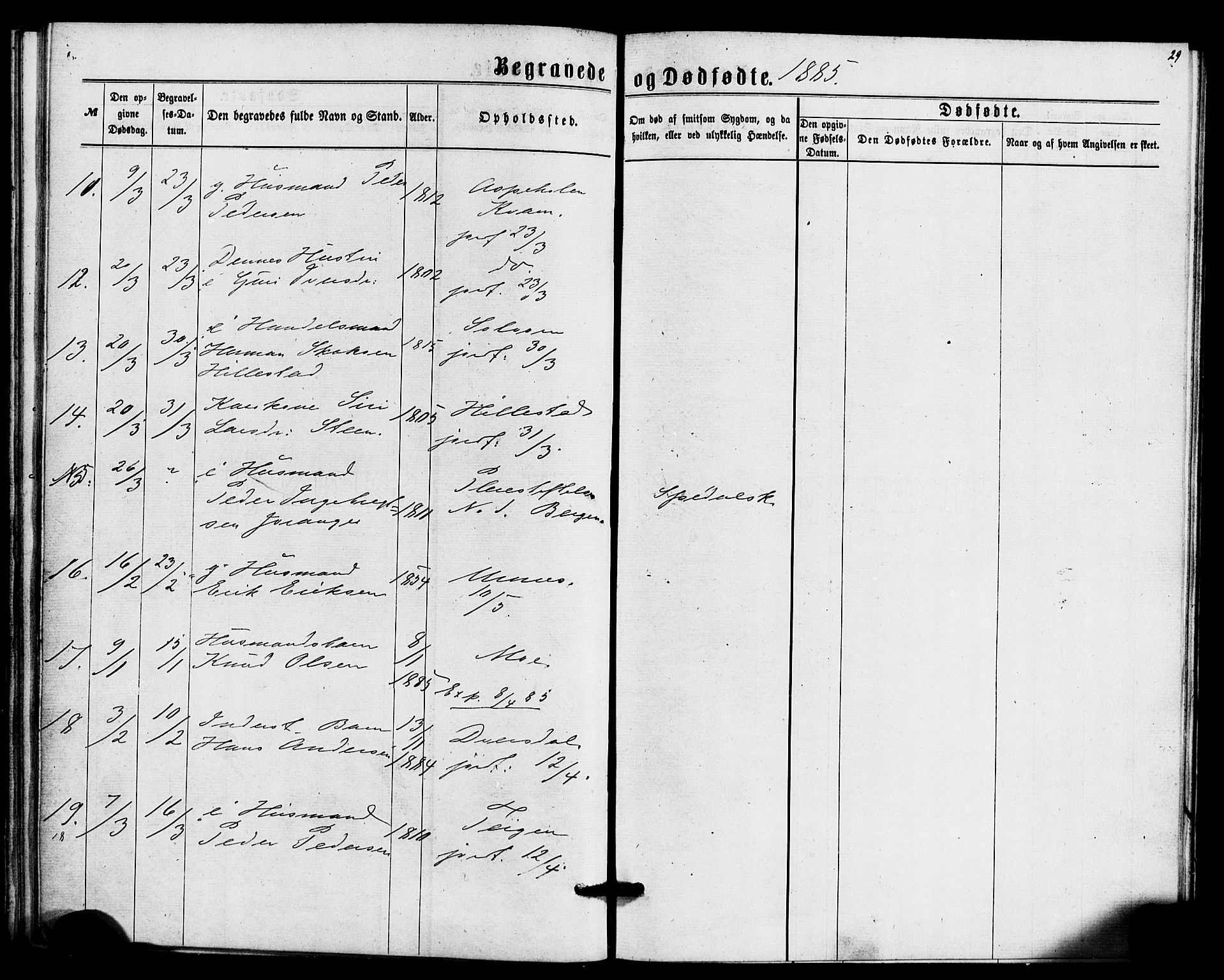 Hafslo sokneprestembete, SAB/A-80301/H/Haa/Haaa/L0014: Parish register (official) no. A 14, 1877-1886, p. 29