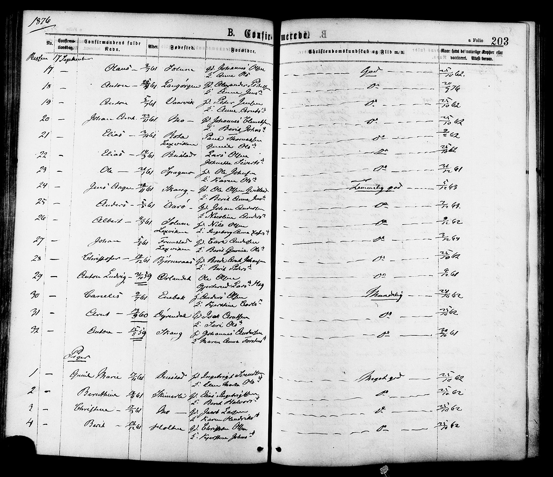 Ministerialprotokoller, klokkerbøker og fødselsregistre - Sør-Trøndelag, AV/SAT-A-1456/646/L0613: Parish register (official) no. 646A11, 1870-1884, p. 203