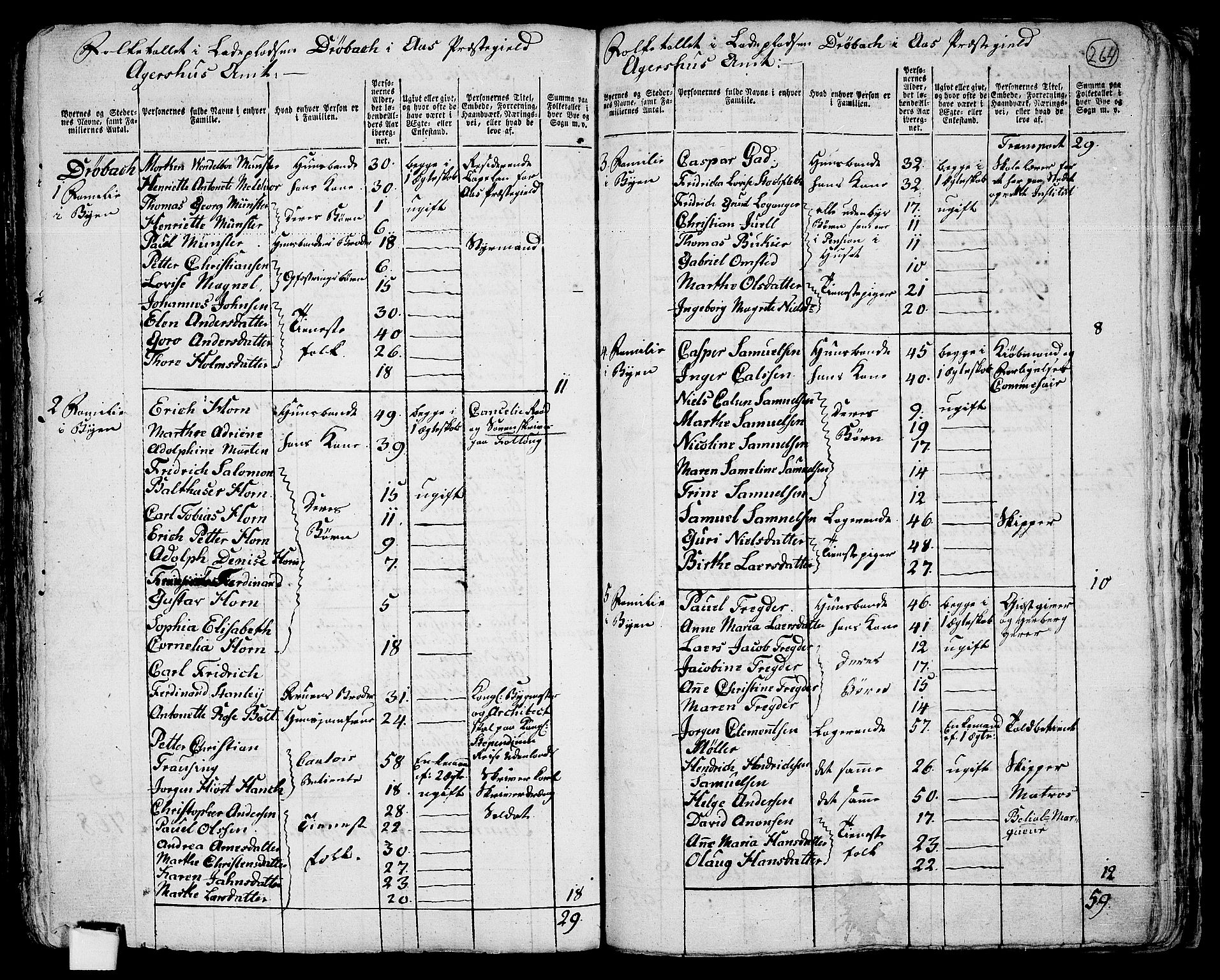 RA, 1801 census for 0214P Ås, 1801, p. 263b-264a