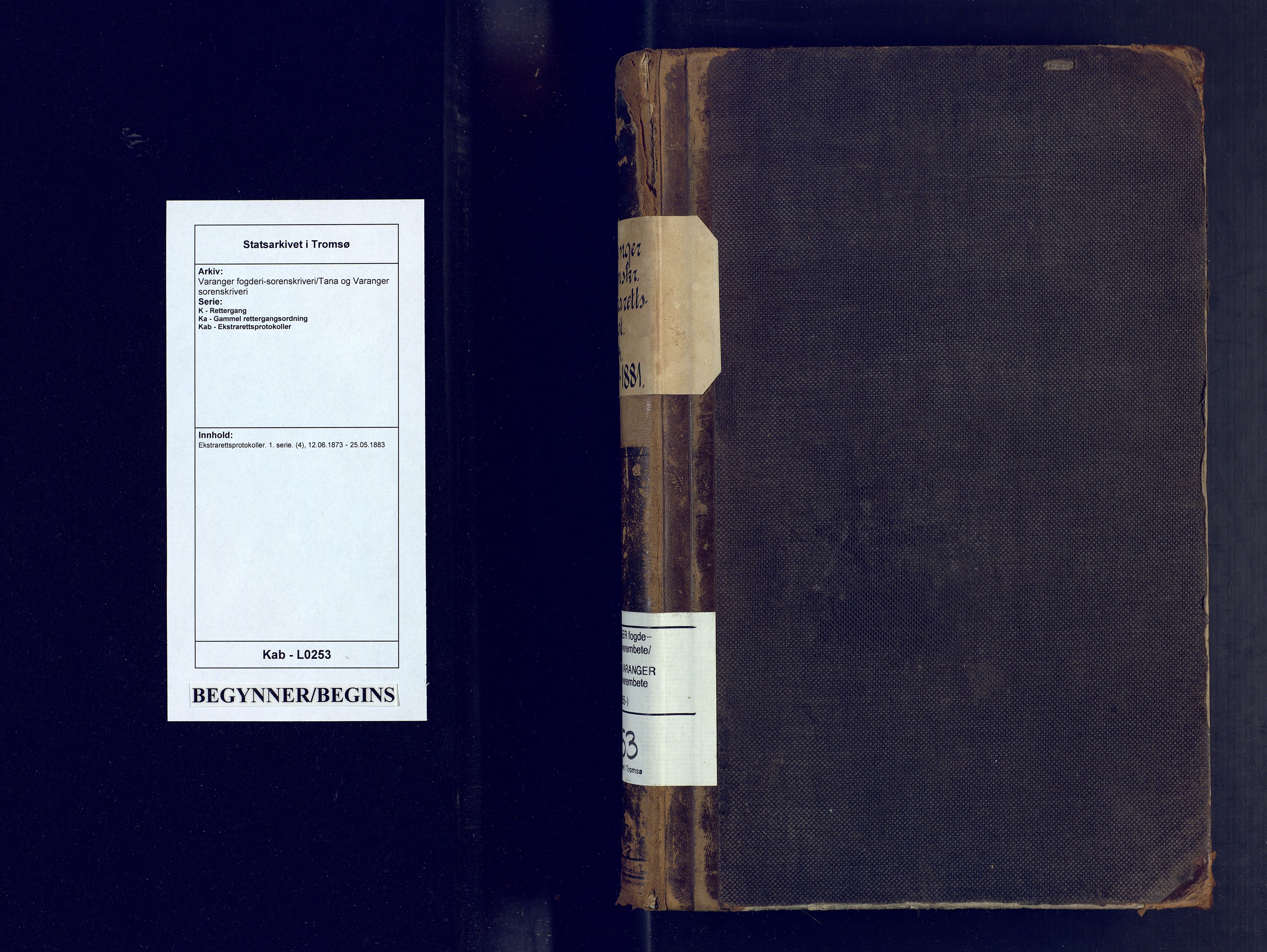 Varanger fogderi-sorenskriveri/Tana og Varanger sorenskriveri, SATØ/S-0059/1/K/Ka/Kab/L0253: Ekstrarettsprotokoller. 1. serie. (4), 1873-1883