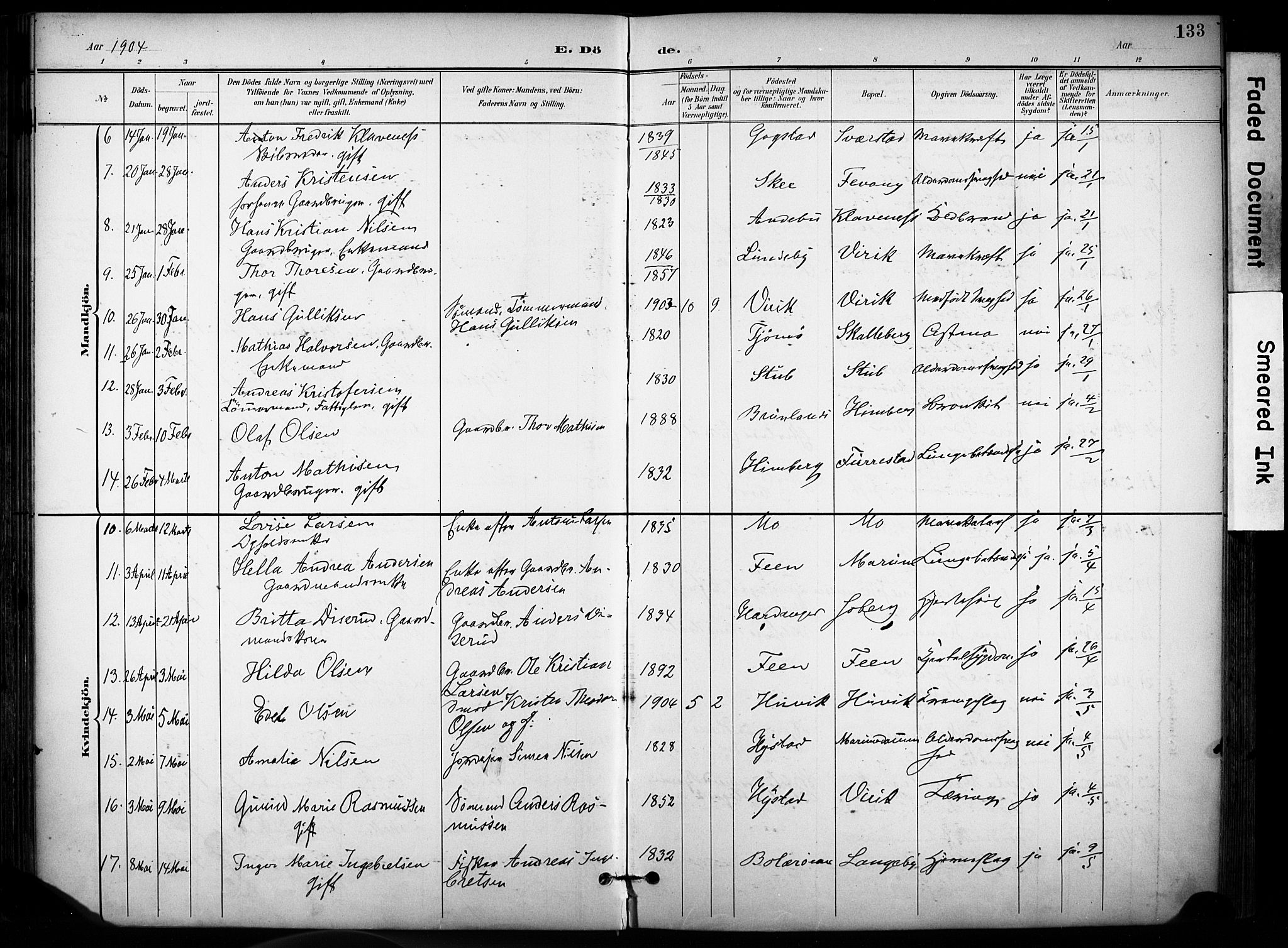 Sandar kirkebøker, SAKO/A-243/F/Fa/L0015: Parish register (official) no. 15, 1896-1907, p. 133
