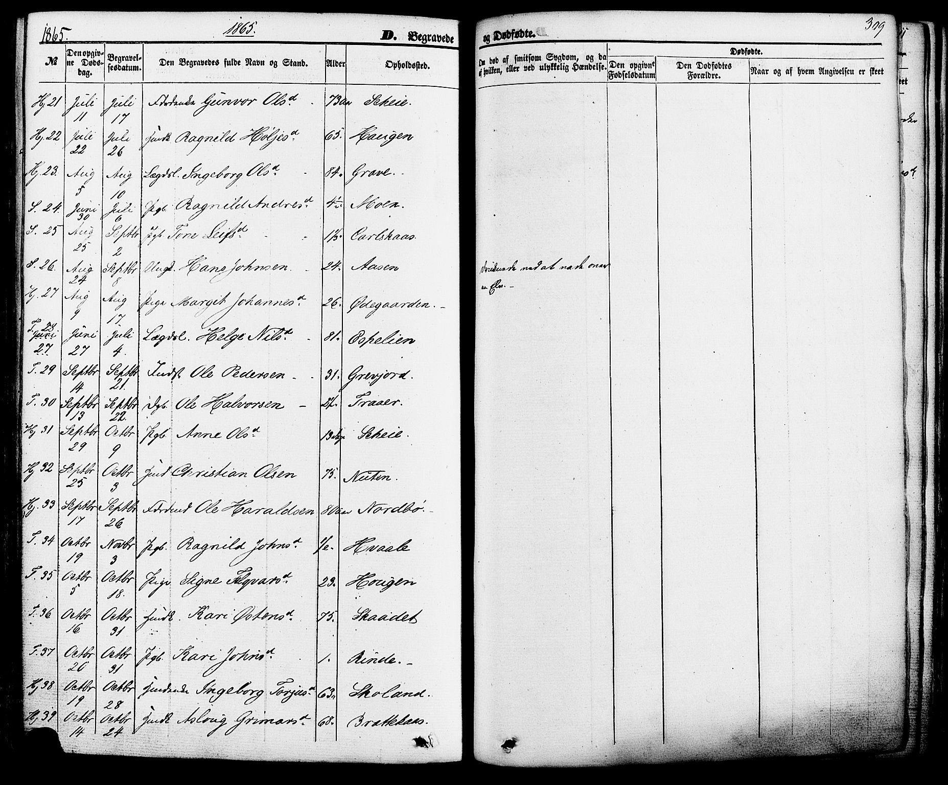 Hjartdal kirkebøker, AV/SAKO-A-270/F/Fa/L0009: Parish register (official) no. I 9, 1860-1879, p. 309