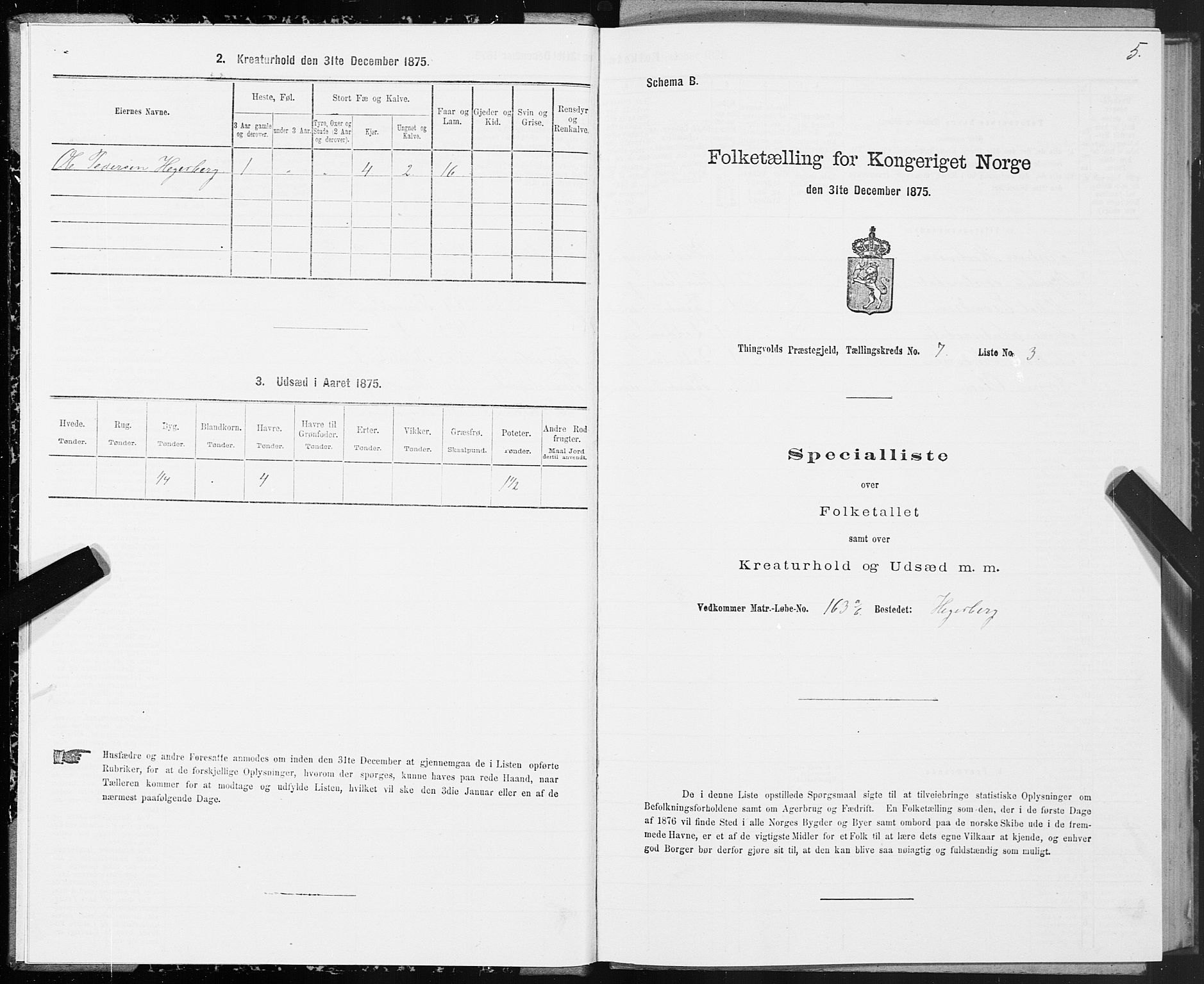 SAT, 1875 census for 1560P Tingvoll, 1875, p. 3005