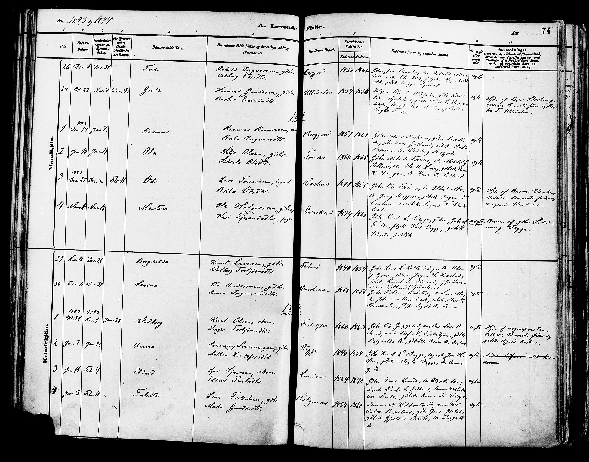 Suldal sokneprestkontor, AV/SAST-A-101845/01/IV/L0011: Parish register (official) no. A 11, 1878-1900, p. 74