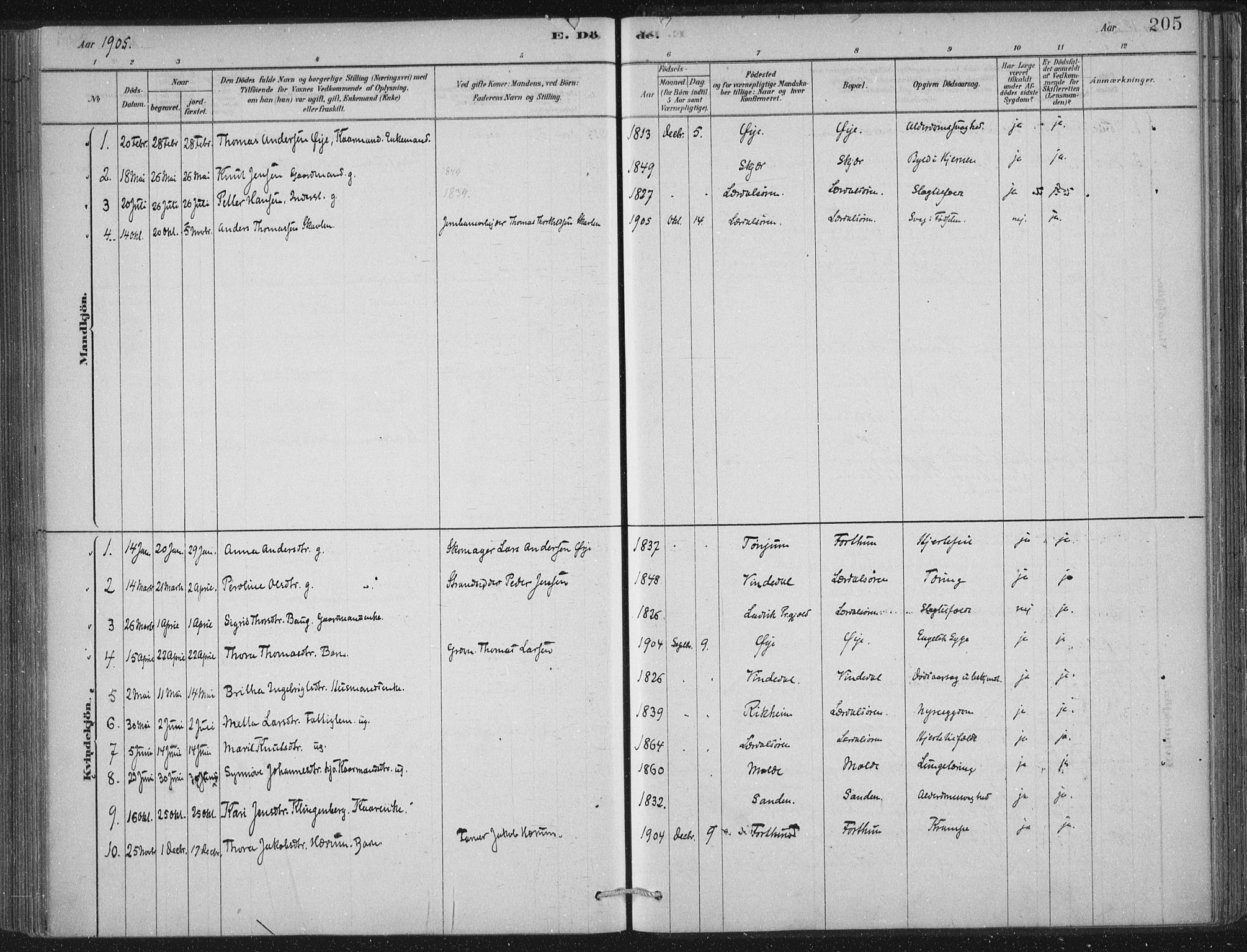 Lærdal sokneprestembete, AV/SAB-A-81201: Parish register (official) no. D  1, 1878-1908, p. 205