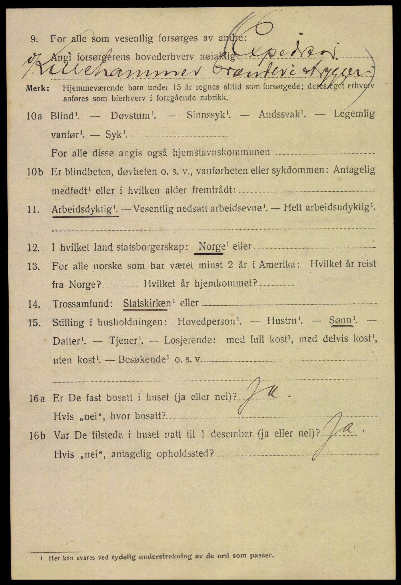 SAH, 1920 census for Lillehammer, 1920, p. 8211