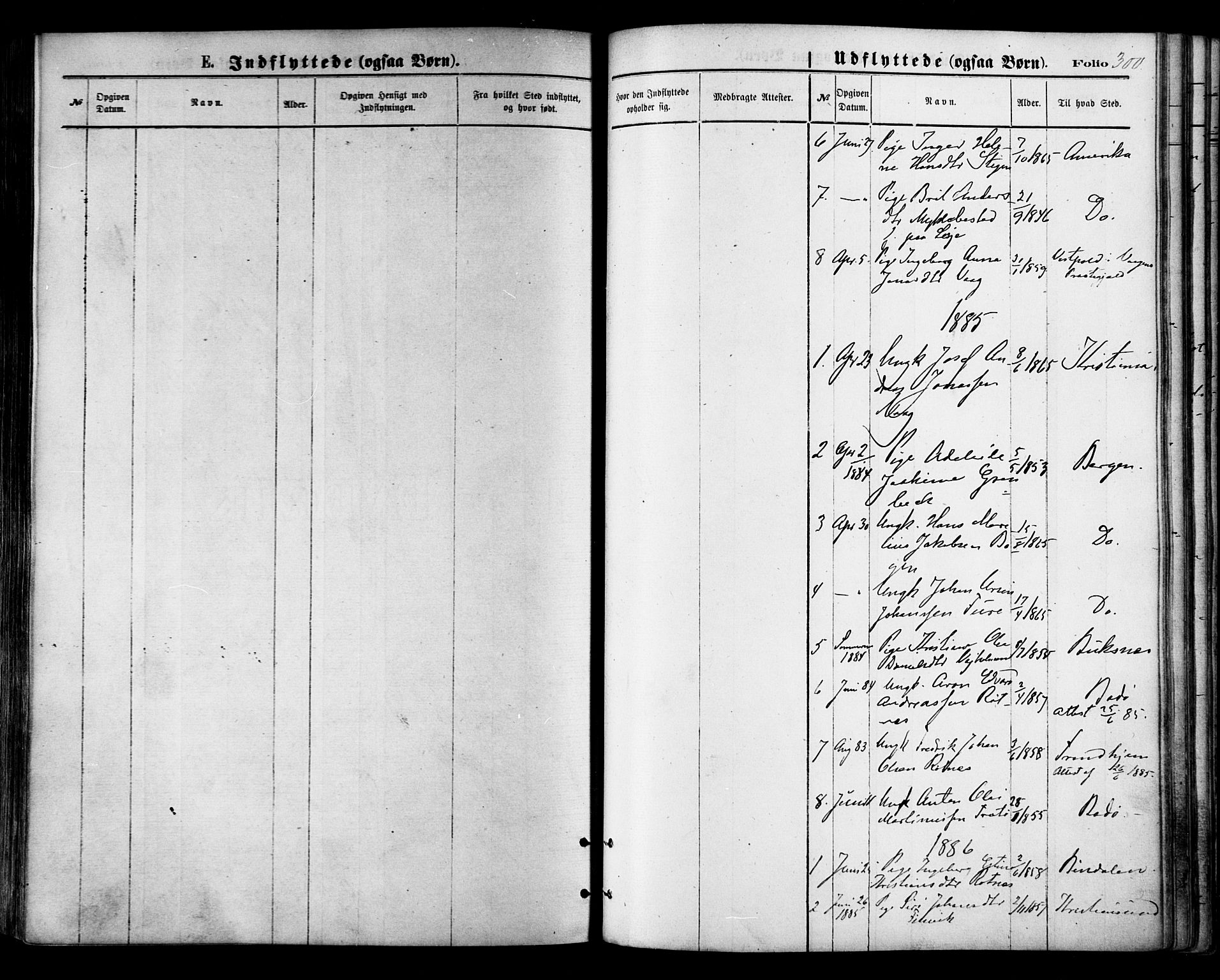 Ministerialprotokoller, klokkerbøker og fødselsregistre - Nordland, AV/SAT-A-1459/855/L0802: Parish register (official) no. 855A10, 1875-1886, p. 300