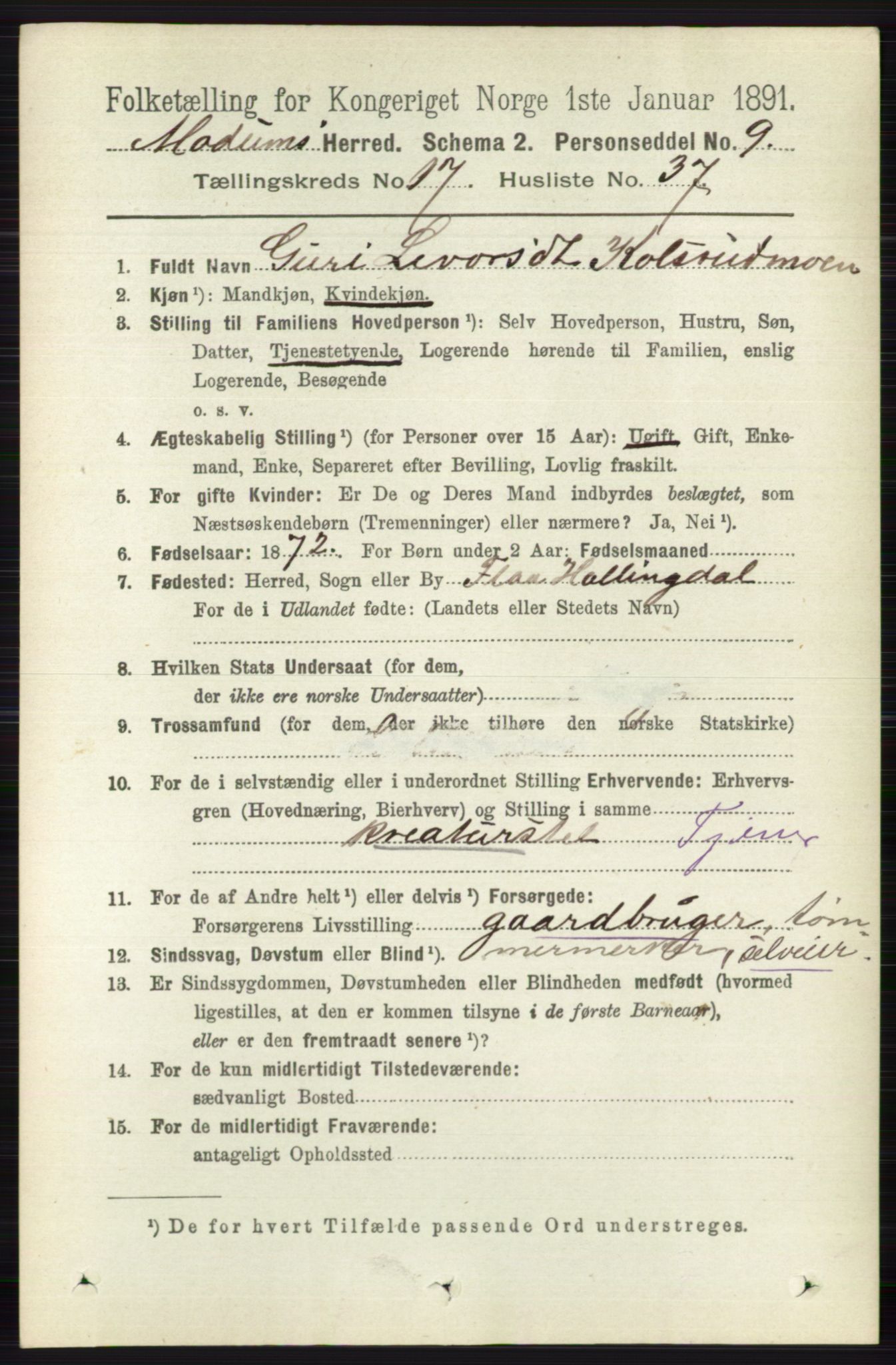 RA, 1891 census for 0623 Modum, 1891, p. 6826