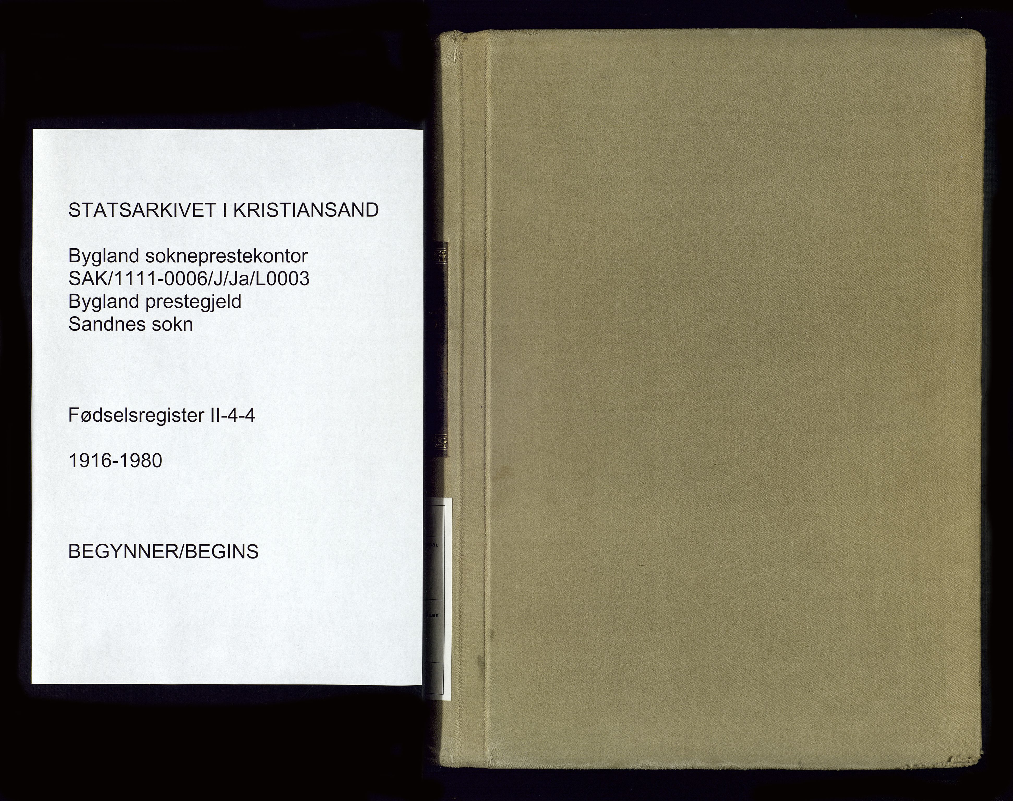 Bygland sokneprestkontor, SAK/1111-0006/J/Ja/L0003: Birth register no. II.4.4, 1916-1980