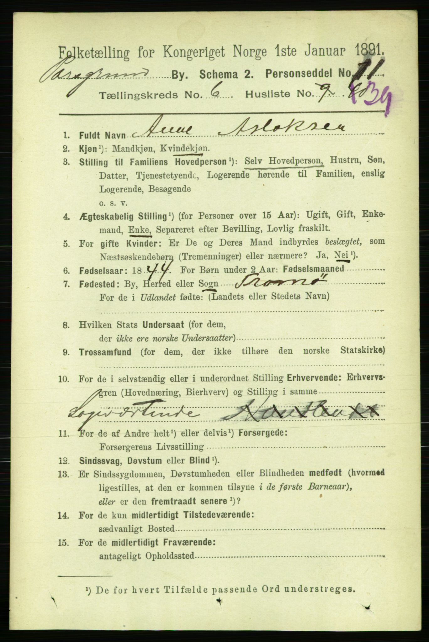 RA, 1891 census for 0805 Porsgrunn, 1891, p. 5445