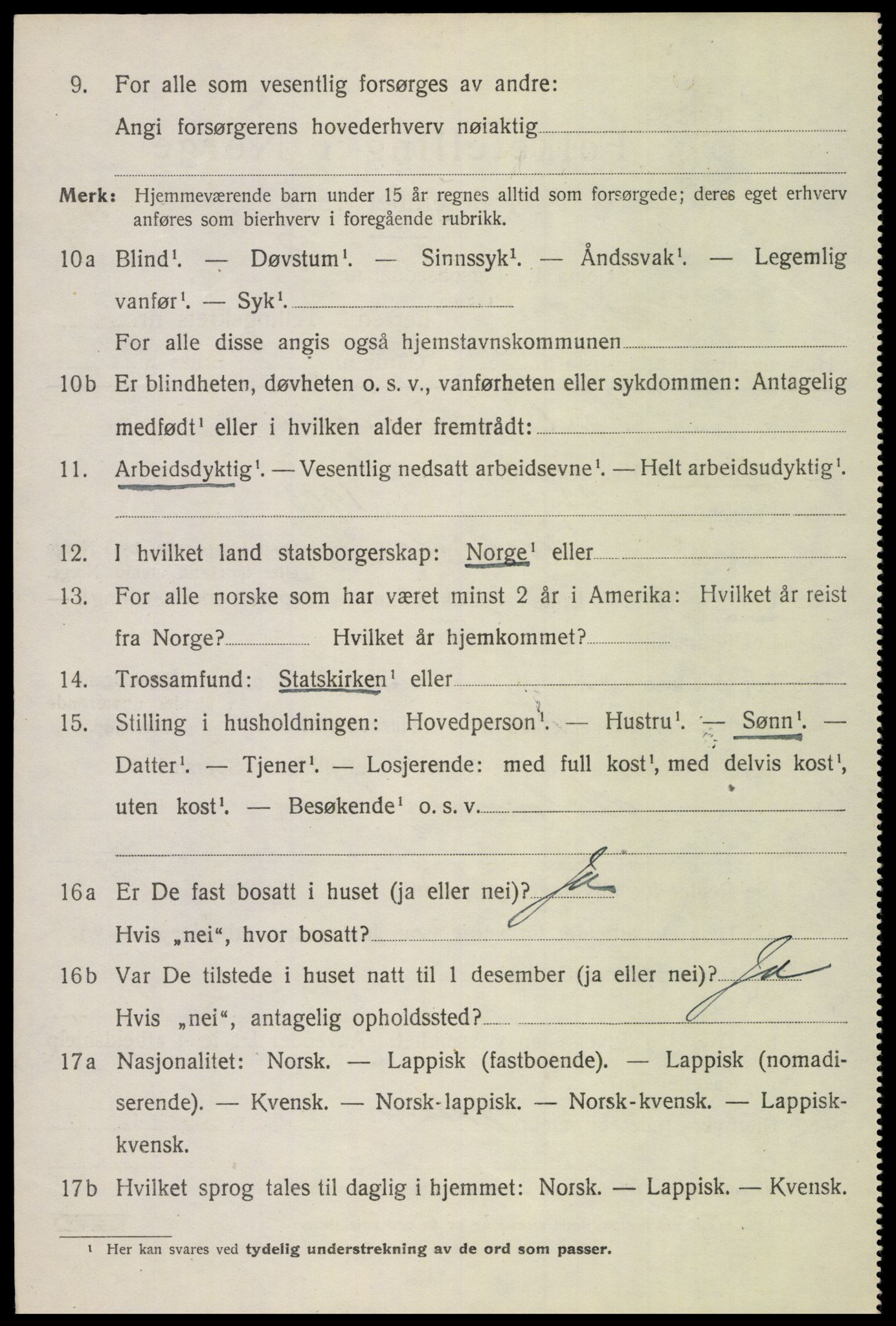 SAT, 1920 census for Saltdal, 1920, p. 3156