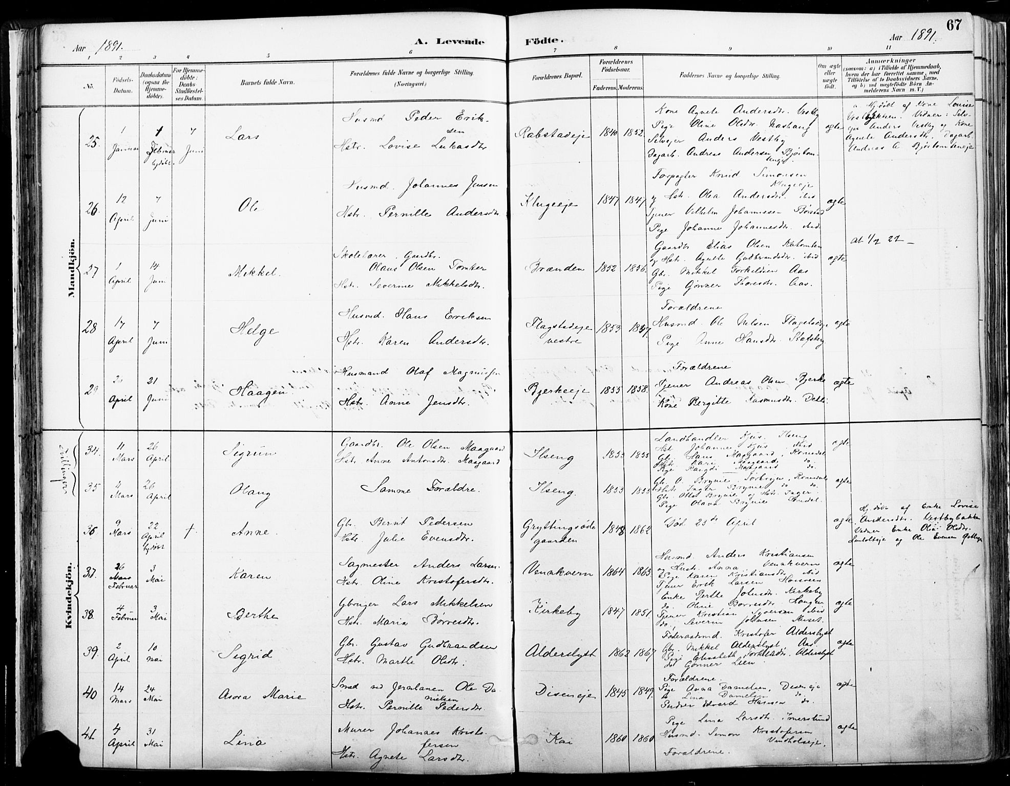 Vang prestekontor, Hedmark, AV/SAH-PREST-008/H/Ha/Haa/L0019A: Parish register (official) no. 19, 1886-1900, p. 67