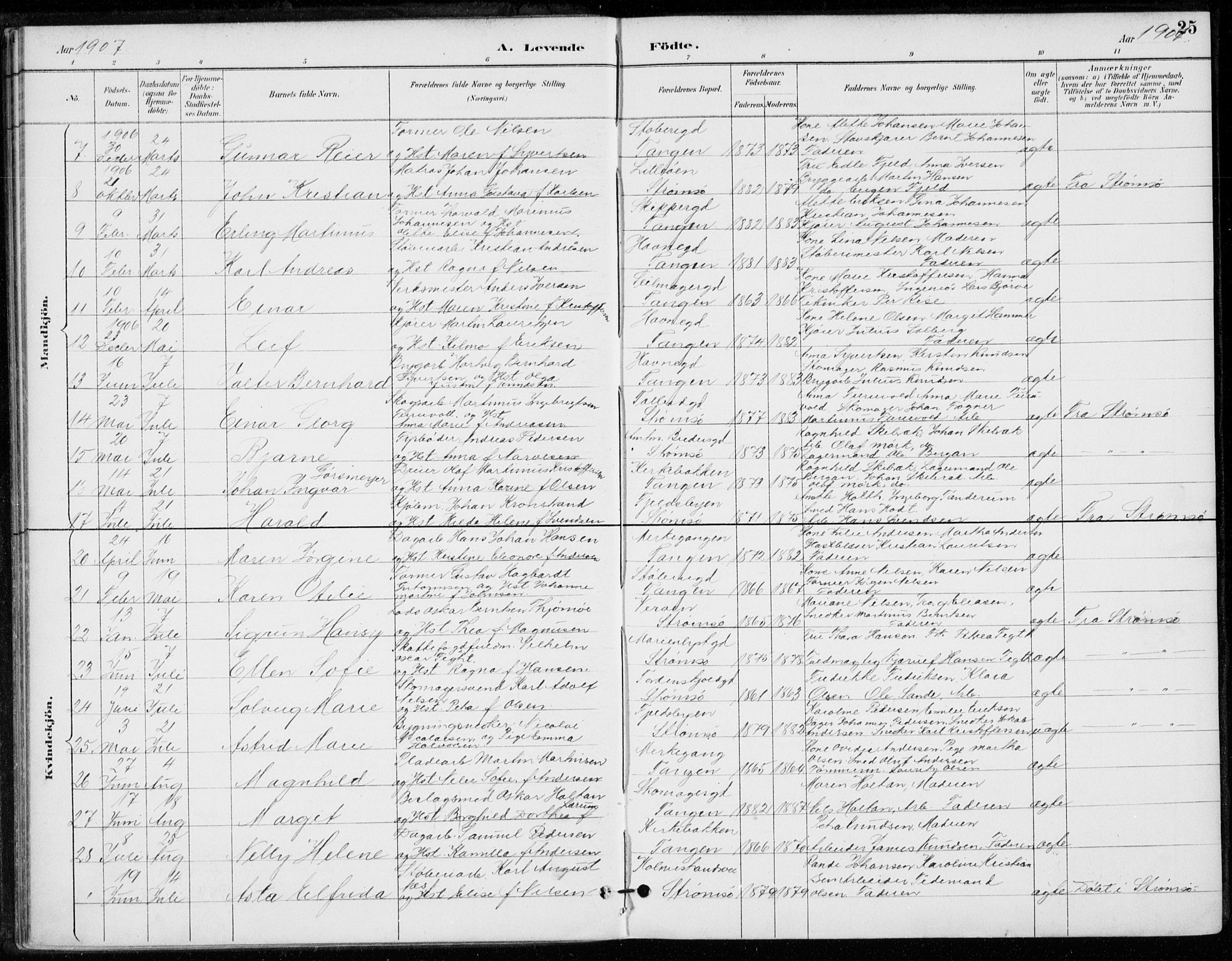 Strømsø kirkebøker, AV/SAKO-A-246/F/Fb/L0007: Parish register (official) no. II 7, 1887-1928, p. 25