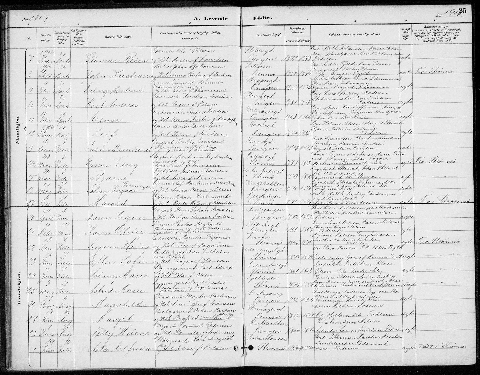 Strømsø kirkebøker, SAKO/A-246/F/Fb/L0007: Parish register (official) no. II 7, 1887-1928, p. 25